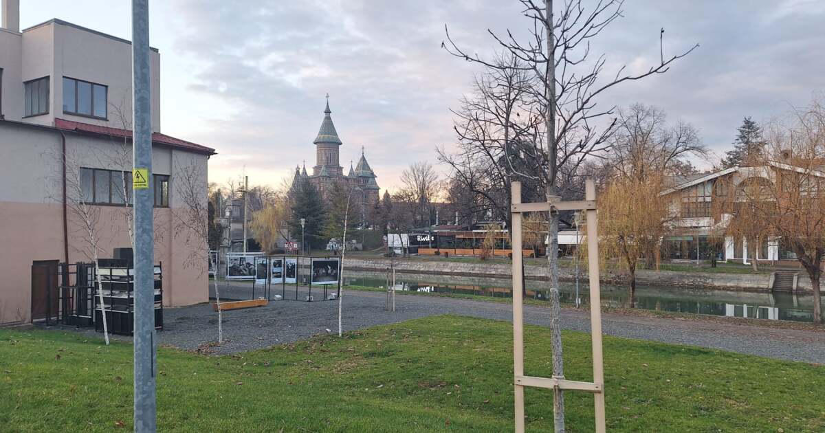 Ce facem astăzi, 4 ianuarie 2025, în Timișoara? Tion