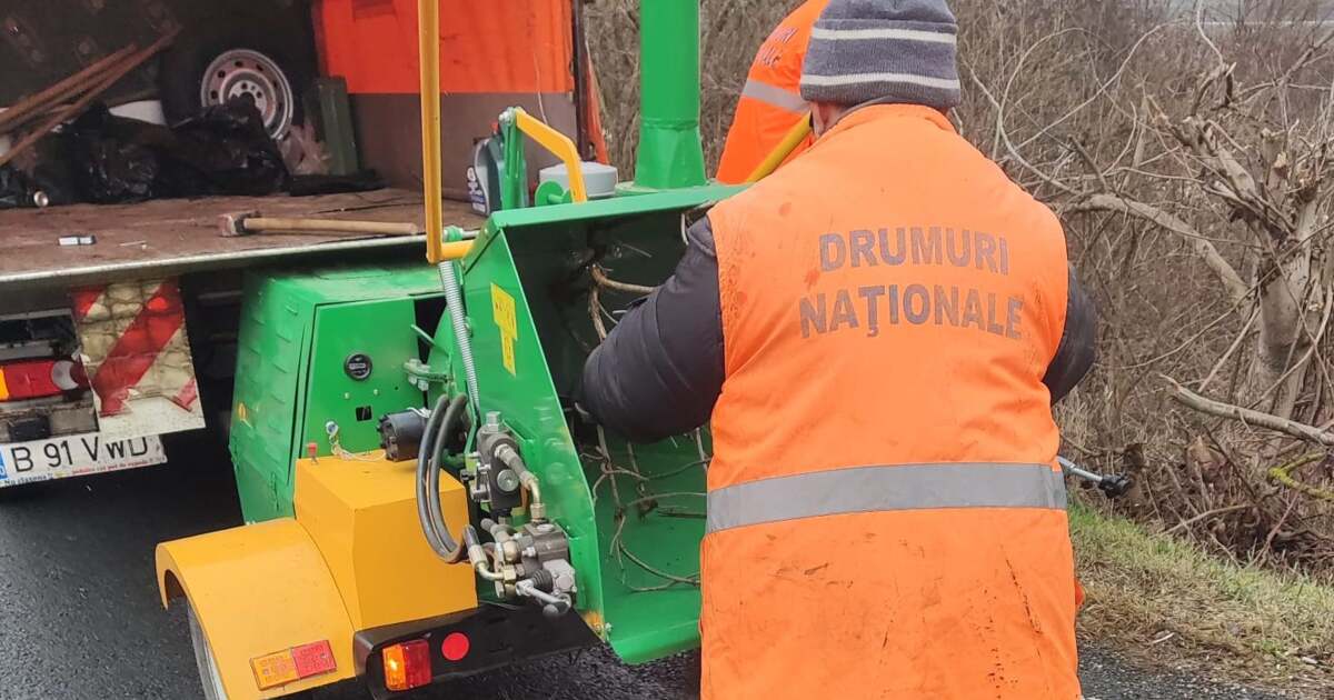 Angajații de la DRDP Timișoara au tocătoare de crengi. Vezi imagini! Angajații de la DRDP Timișoara au tocătoare de crengi. Vezi imagini!
