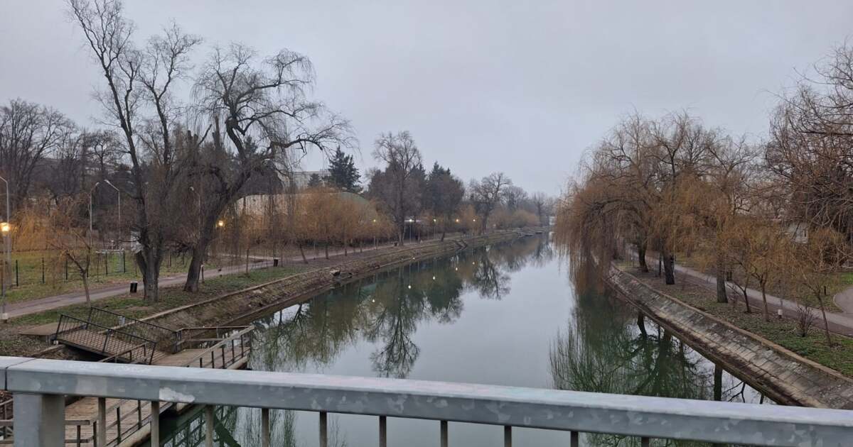 Evenimente deosebite în Timișoara pe 21 februarie 2025 Evenimente deosebite în Timișoara pe 21 februarie 2025