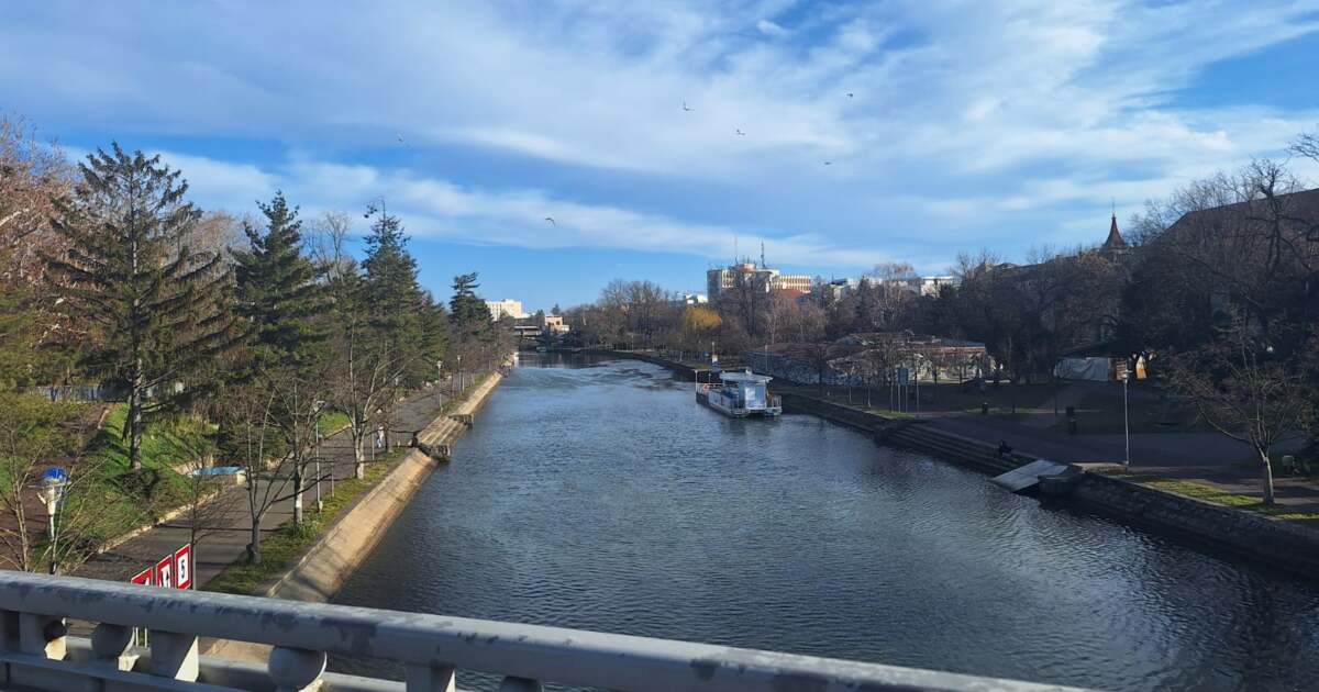 Evenimente deosebite în Timișoara pe 5 februarie 2025