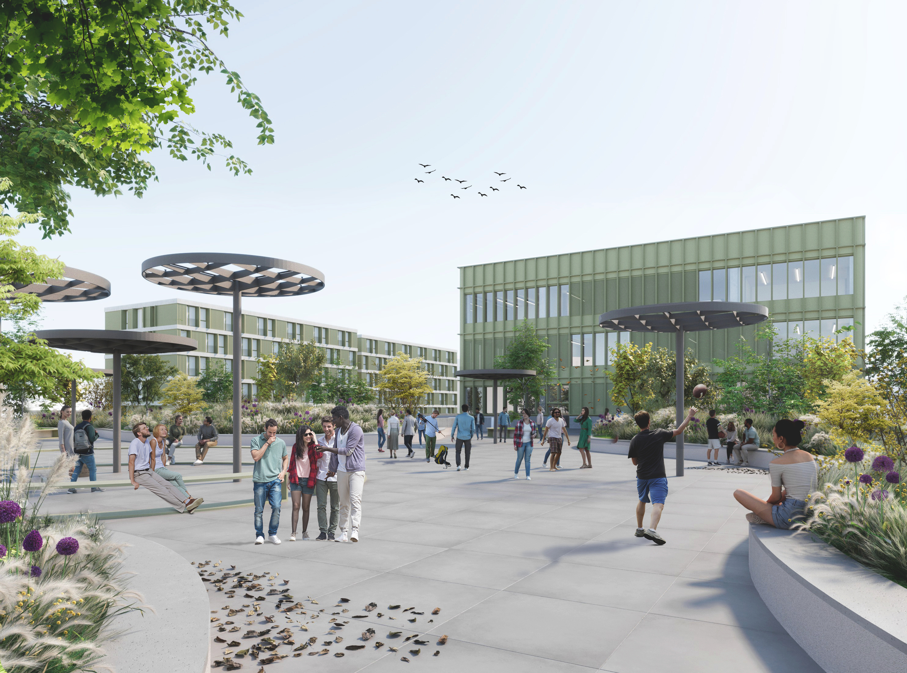 campus dual timișoara (3)