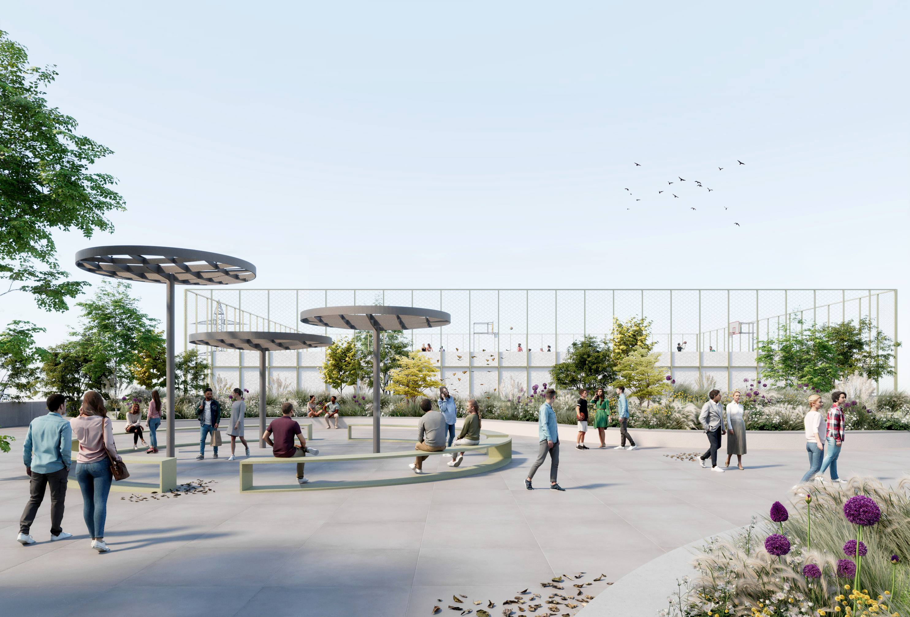 campus dual timișoara (4)