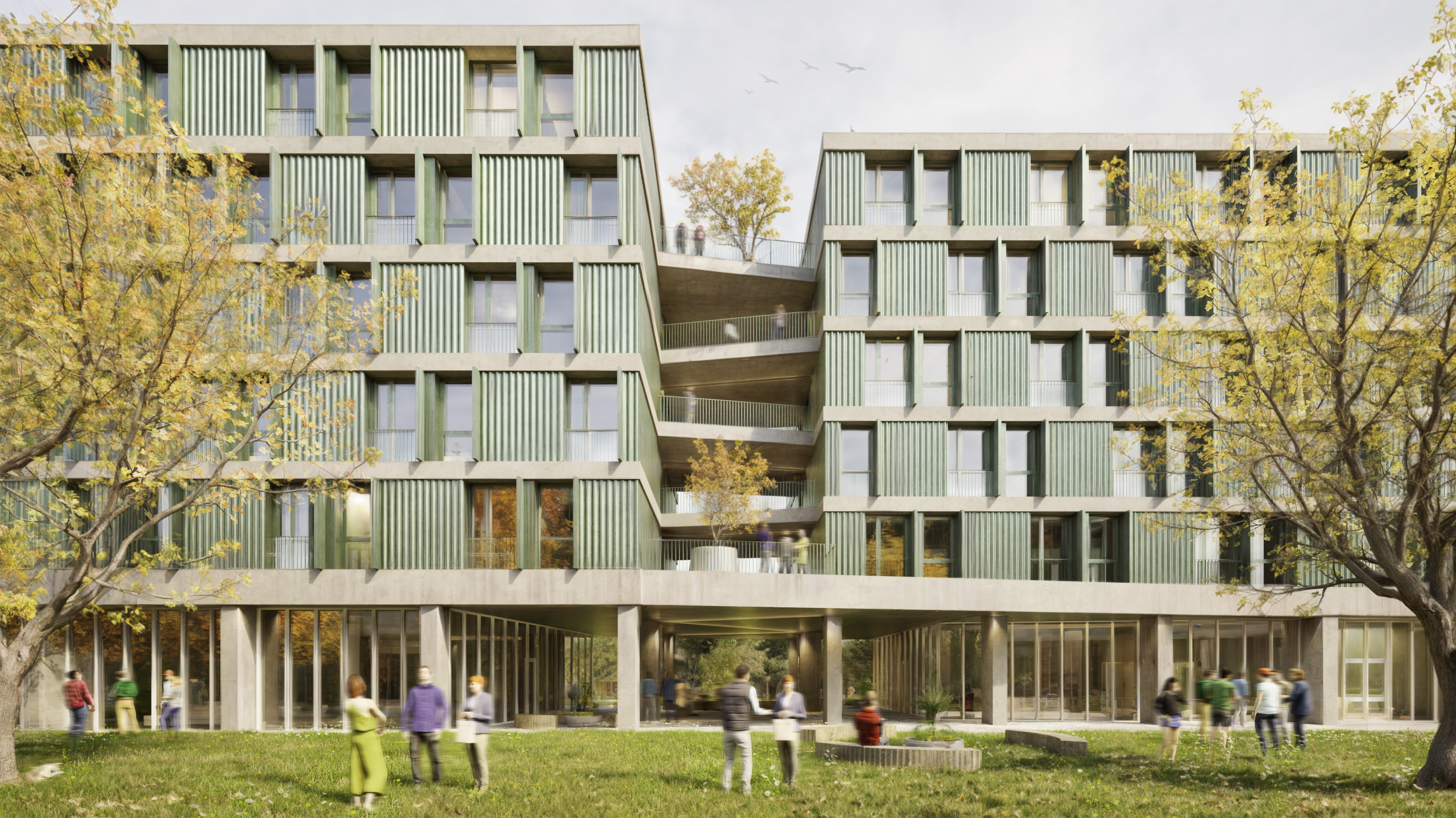 campus dual timișoara (6)