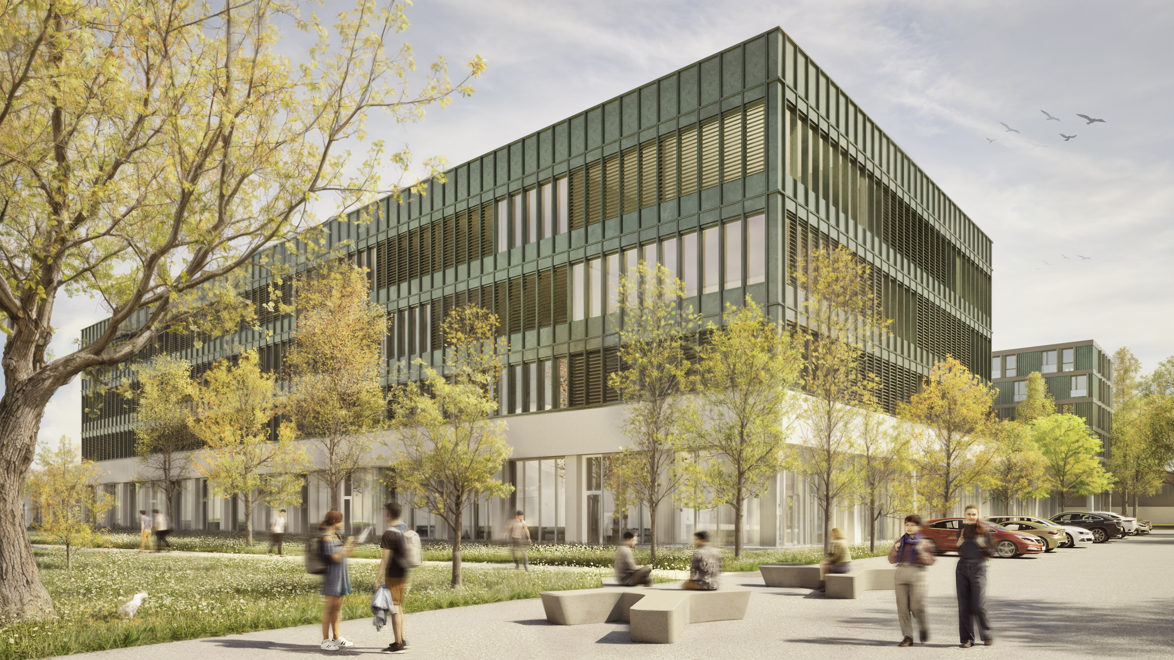 campus dual timișoara (1)