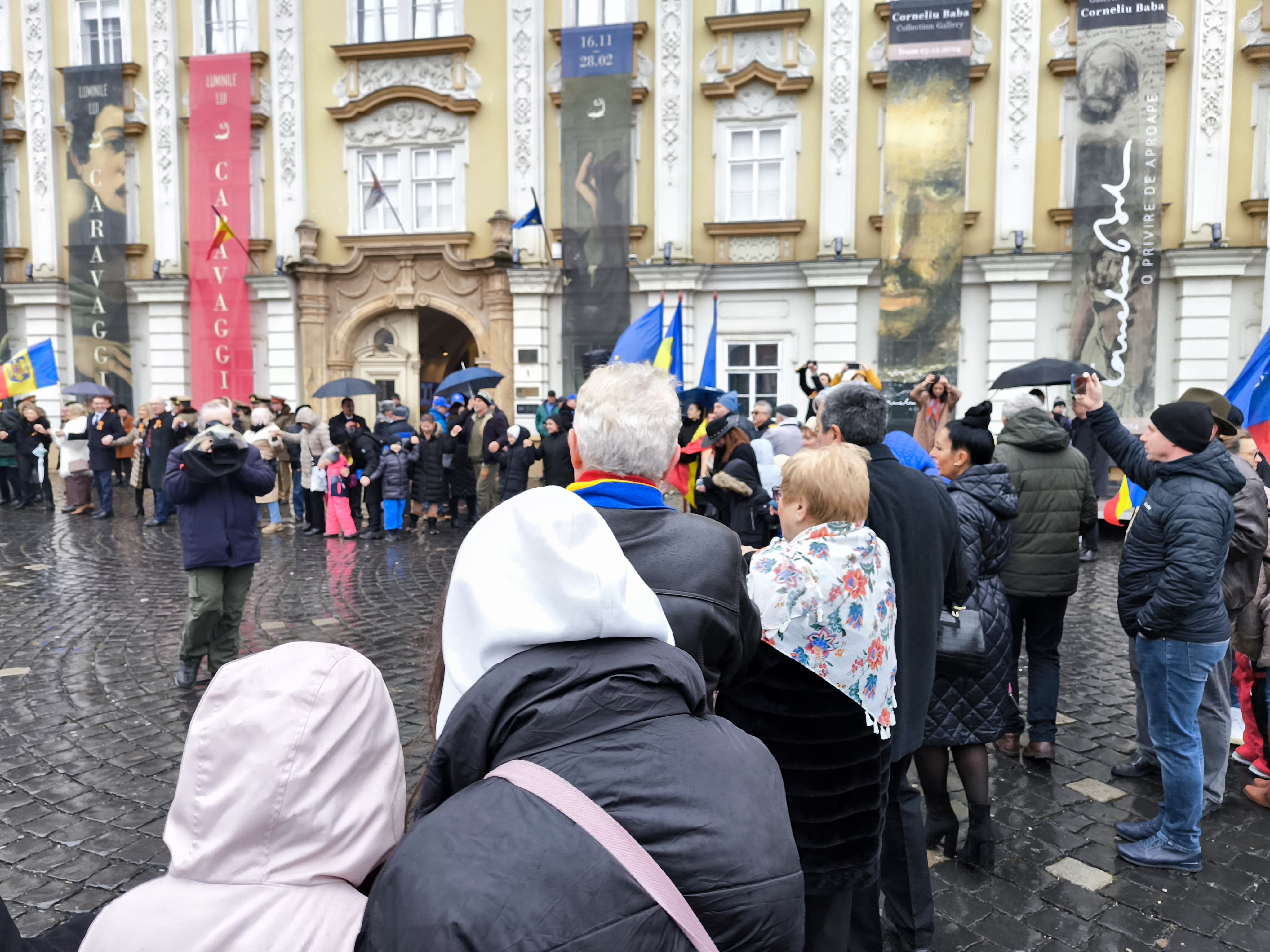 unirea principatelor romane mica unire timisoara (2)