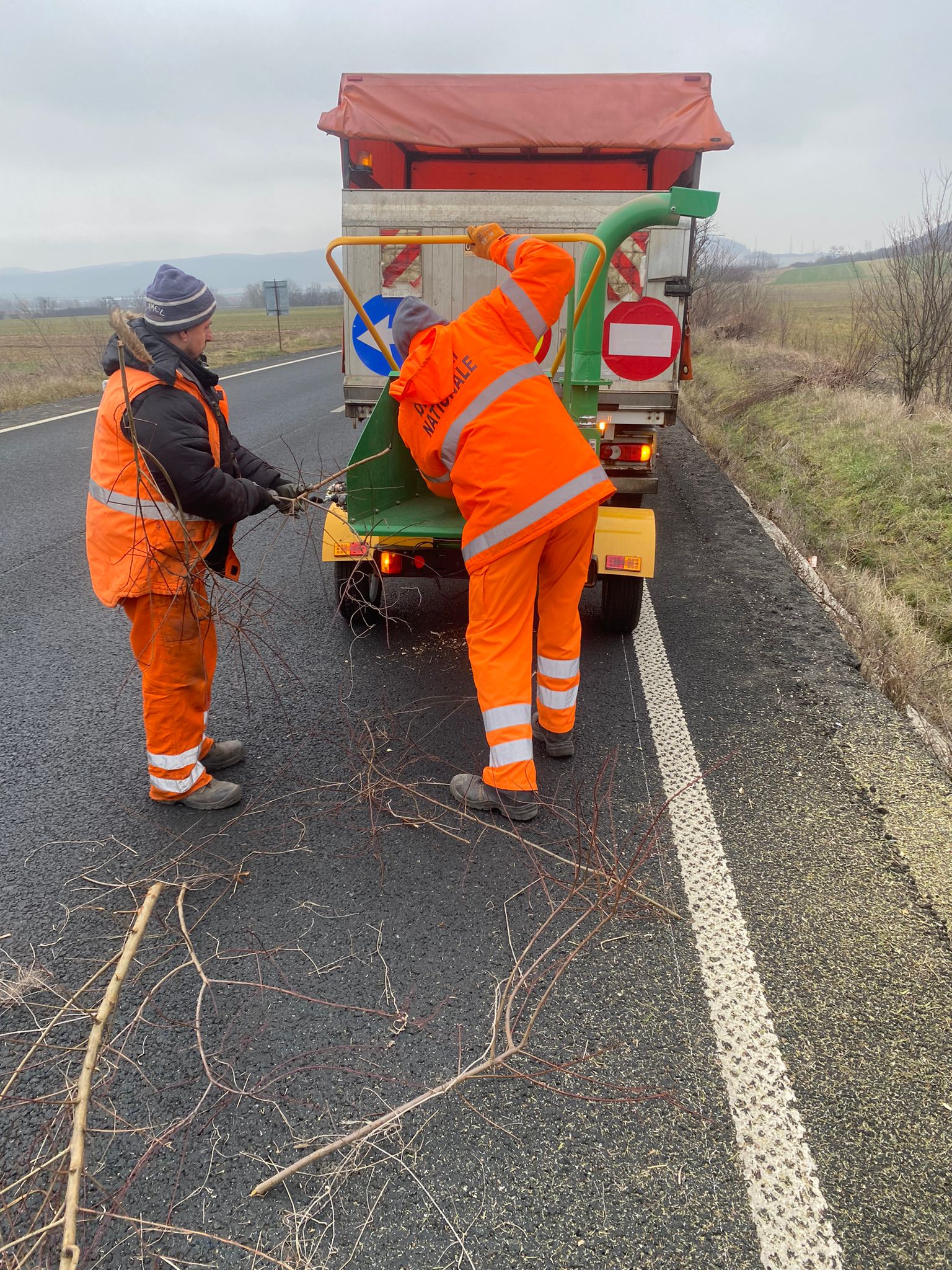 tocator crengi drdp (3)