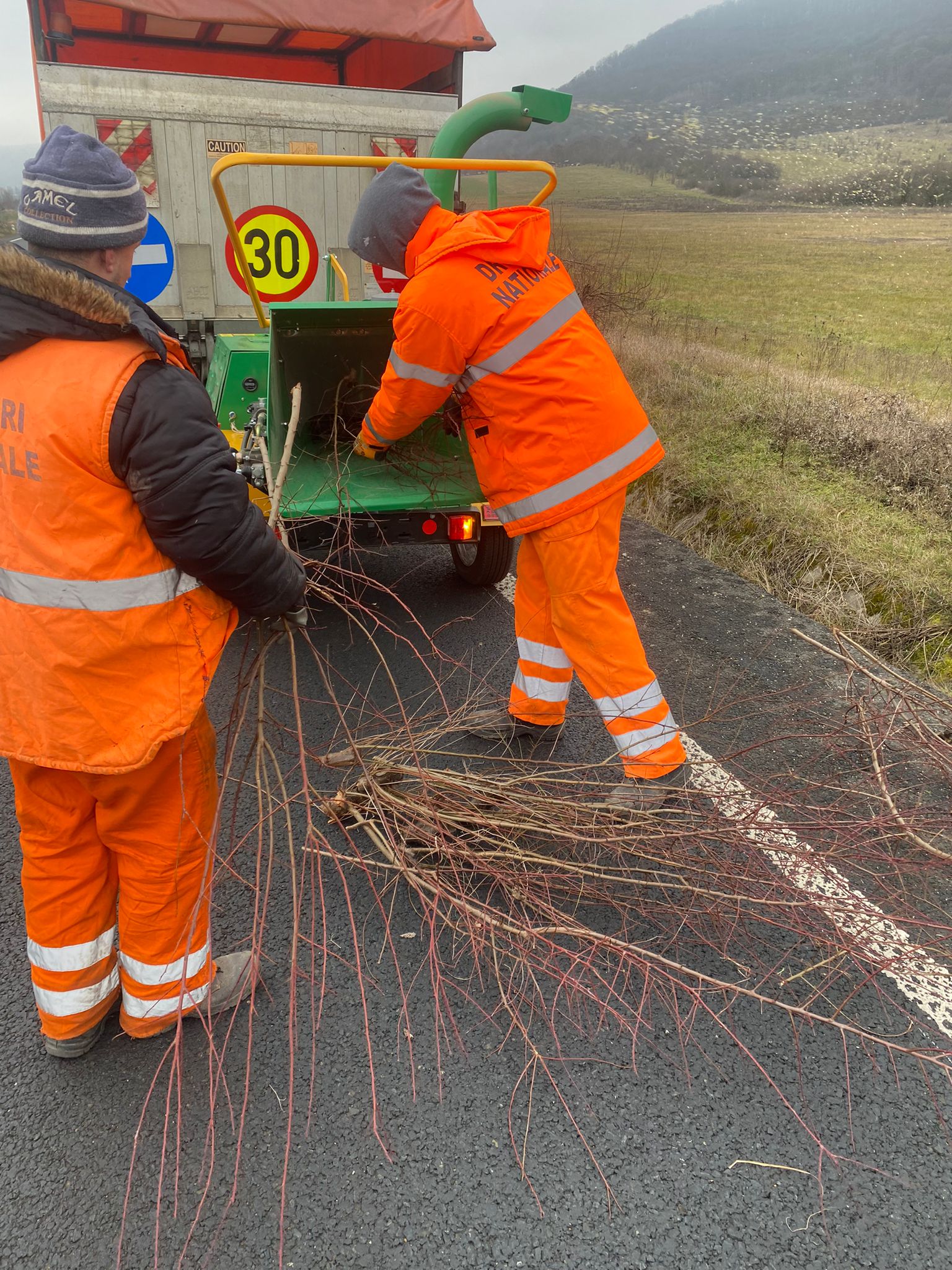 tocator crengi drdp (5)