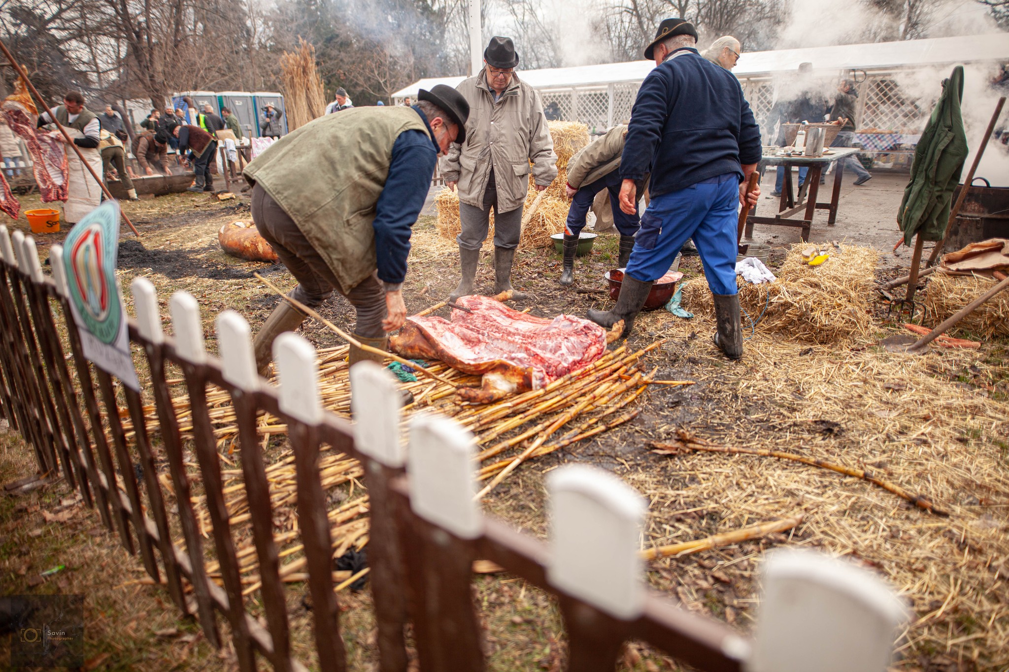 festivalul carnatilor belo blato (11)