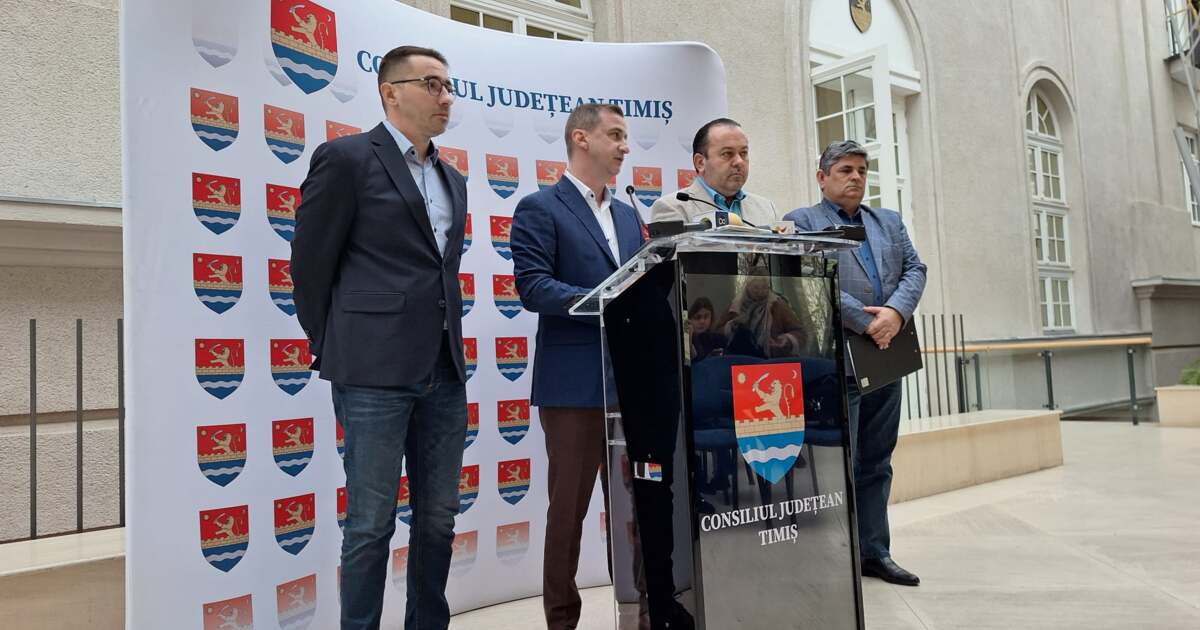 Planurile de investiții din Timiș în 2025: renovări, infrastructură, adăpost pentru animale și concerte surpriză.