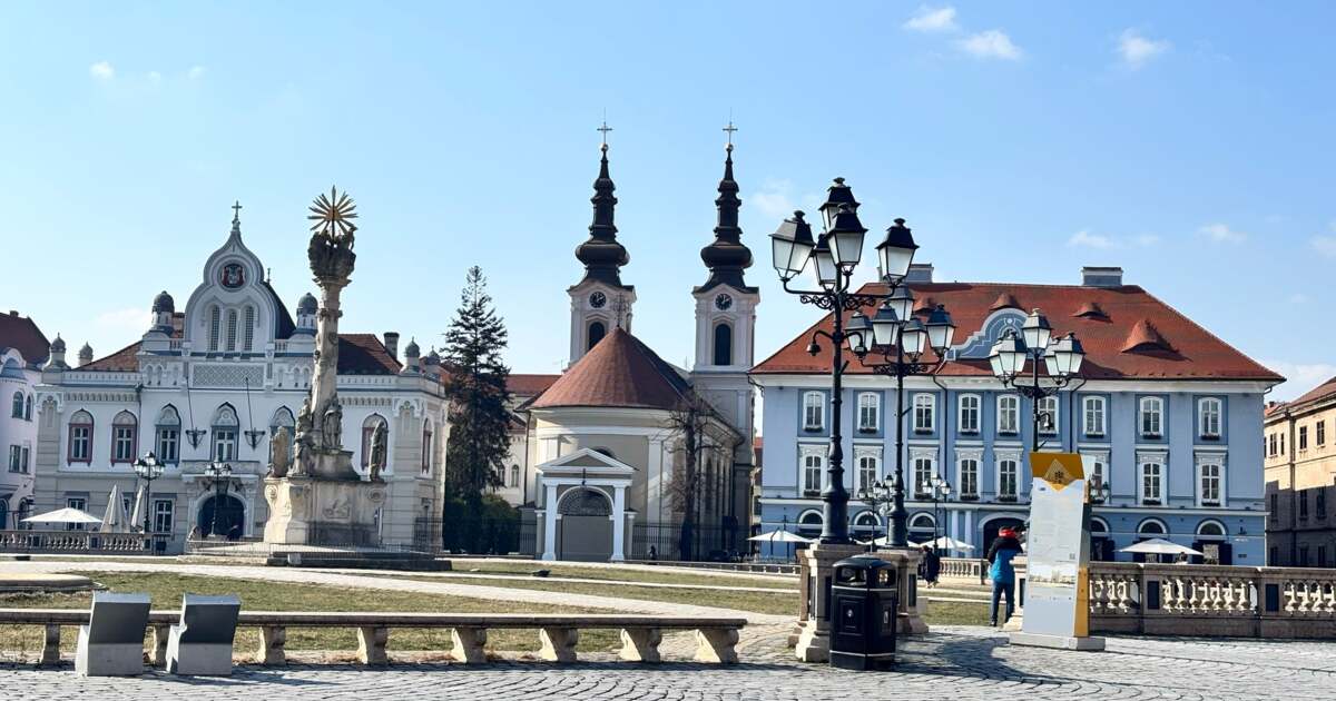 Evenimente din Timișoara pe 24 februarie 2025 – Planuri și activități zilnice