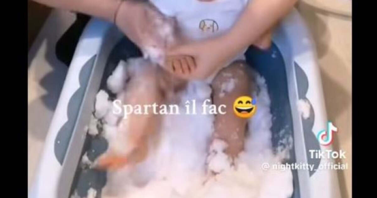 VIDEO. Mamă a băgat copilul în zăpadă și a postat pe TikTok: „Spartan îl fac” VIDEO. Mamă a băgat copilul în zăpadă și a postat pe TikTok: „Spartan îl fac”