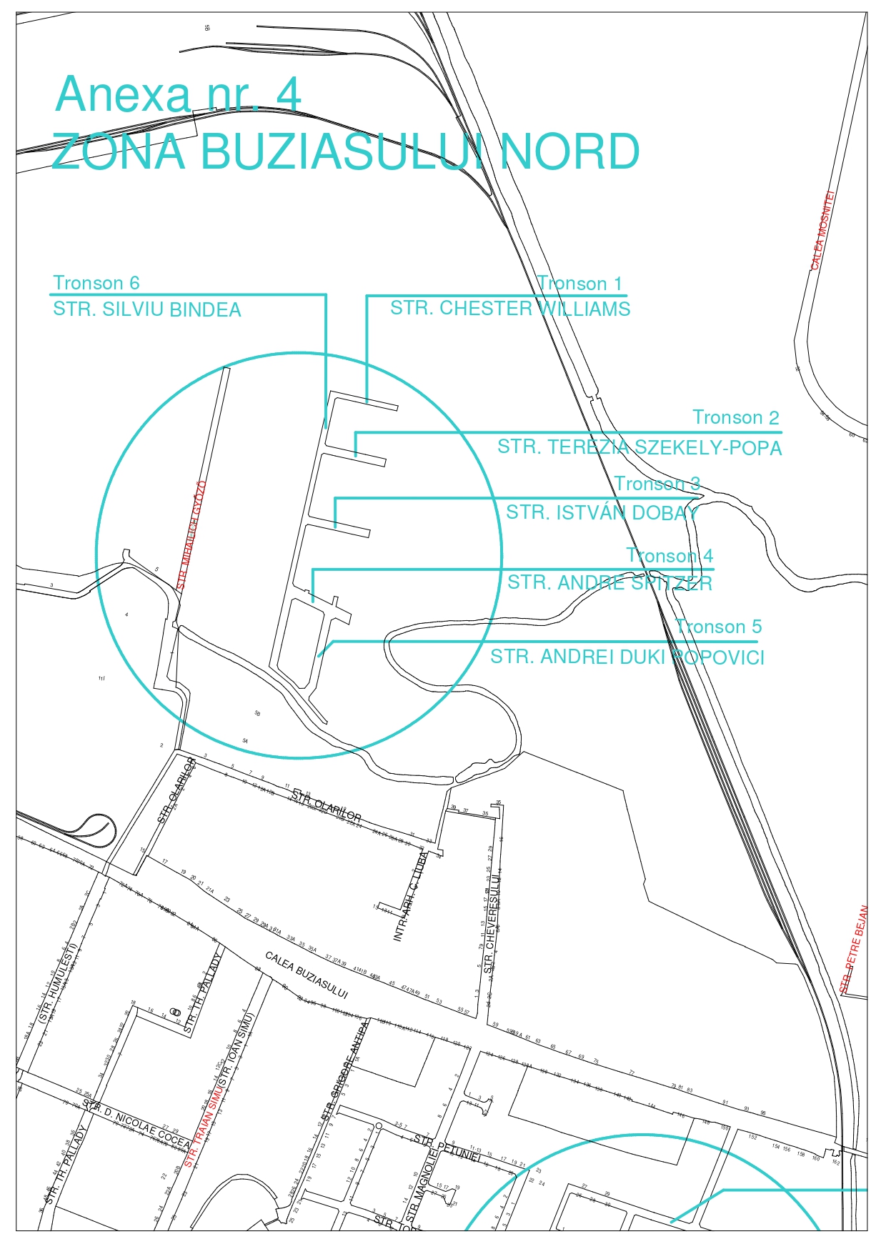 Anexa nr. 4_page-0001
