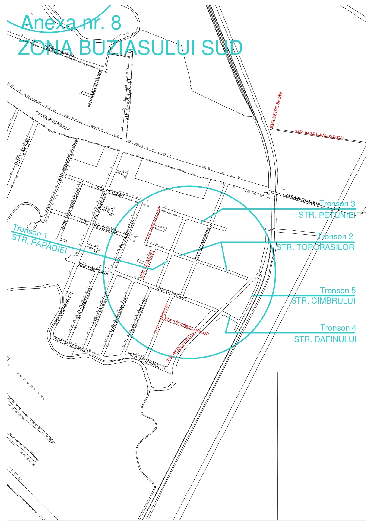 Anexa nr. 8_page-0001