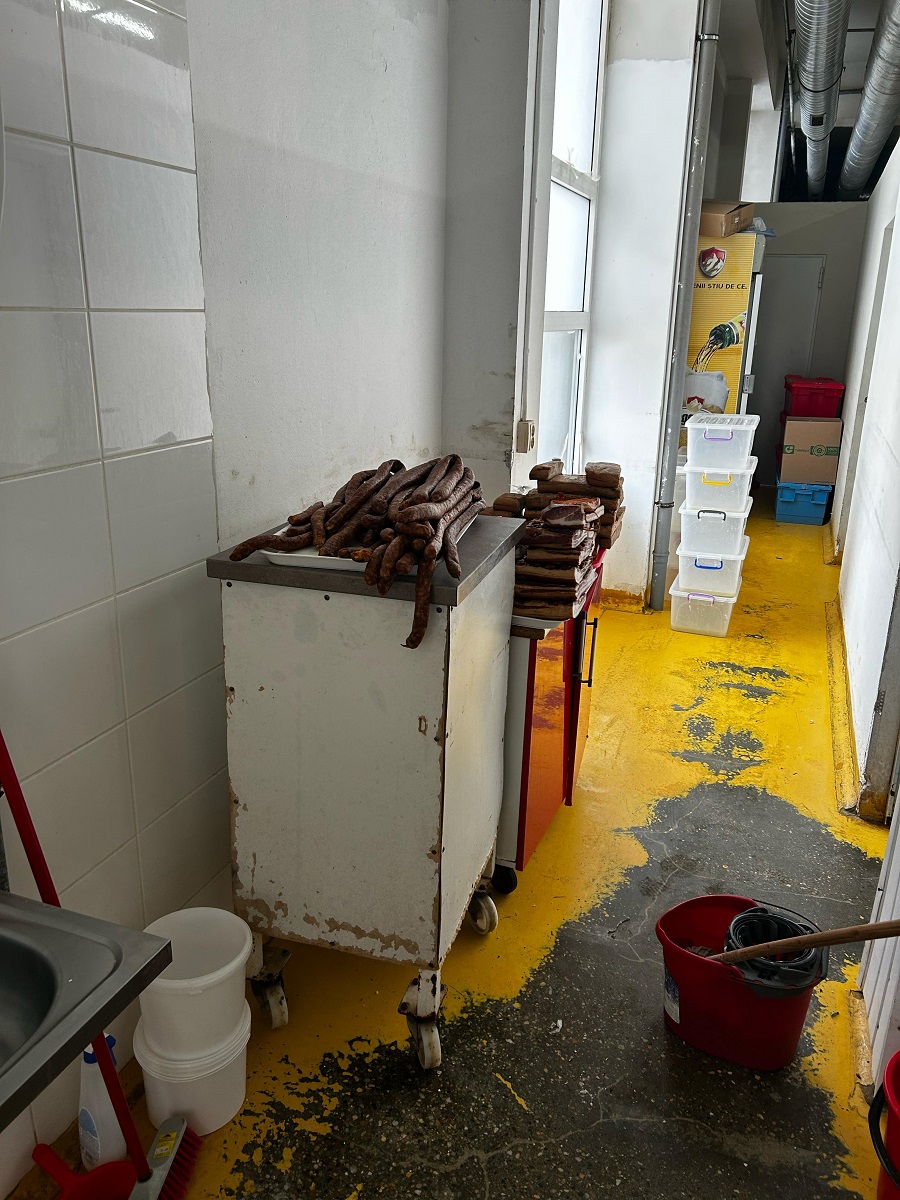 comerciantă iosefin 6