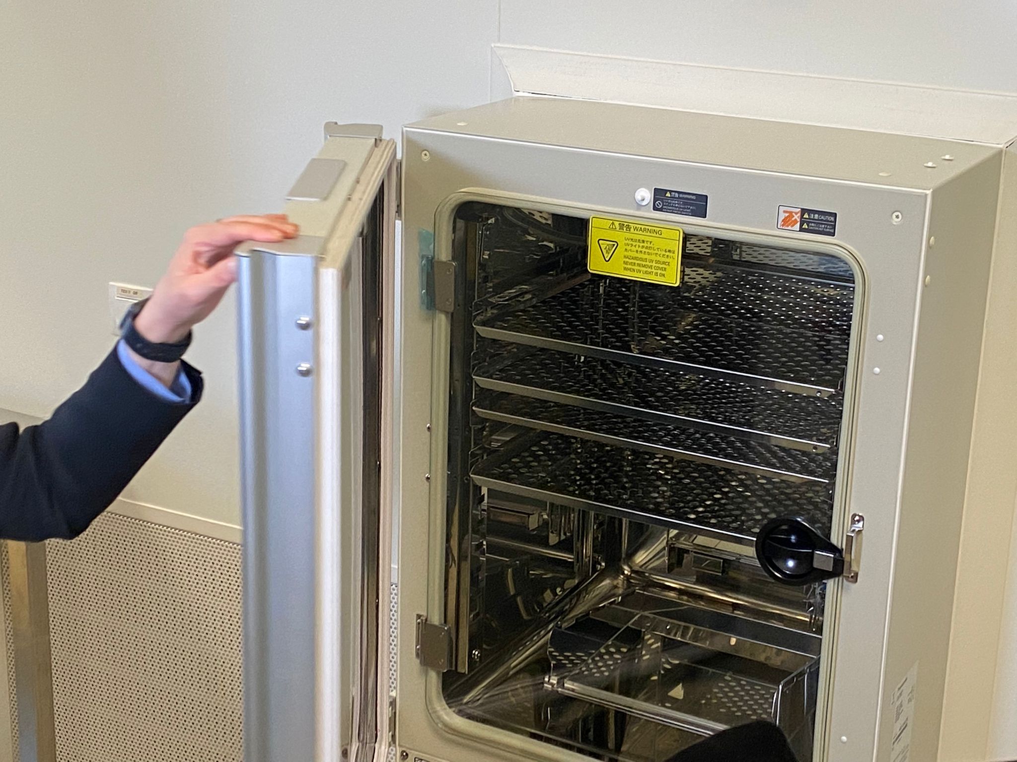 WhatsApp Image 2025-02-03 at 17.51.13