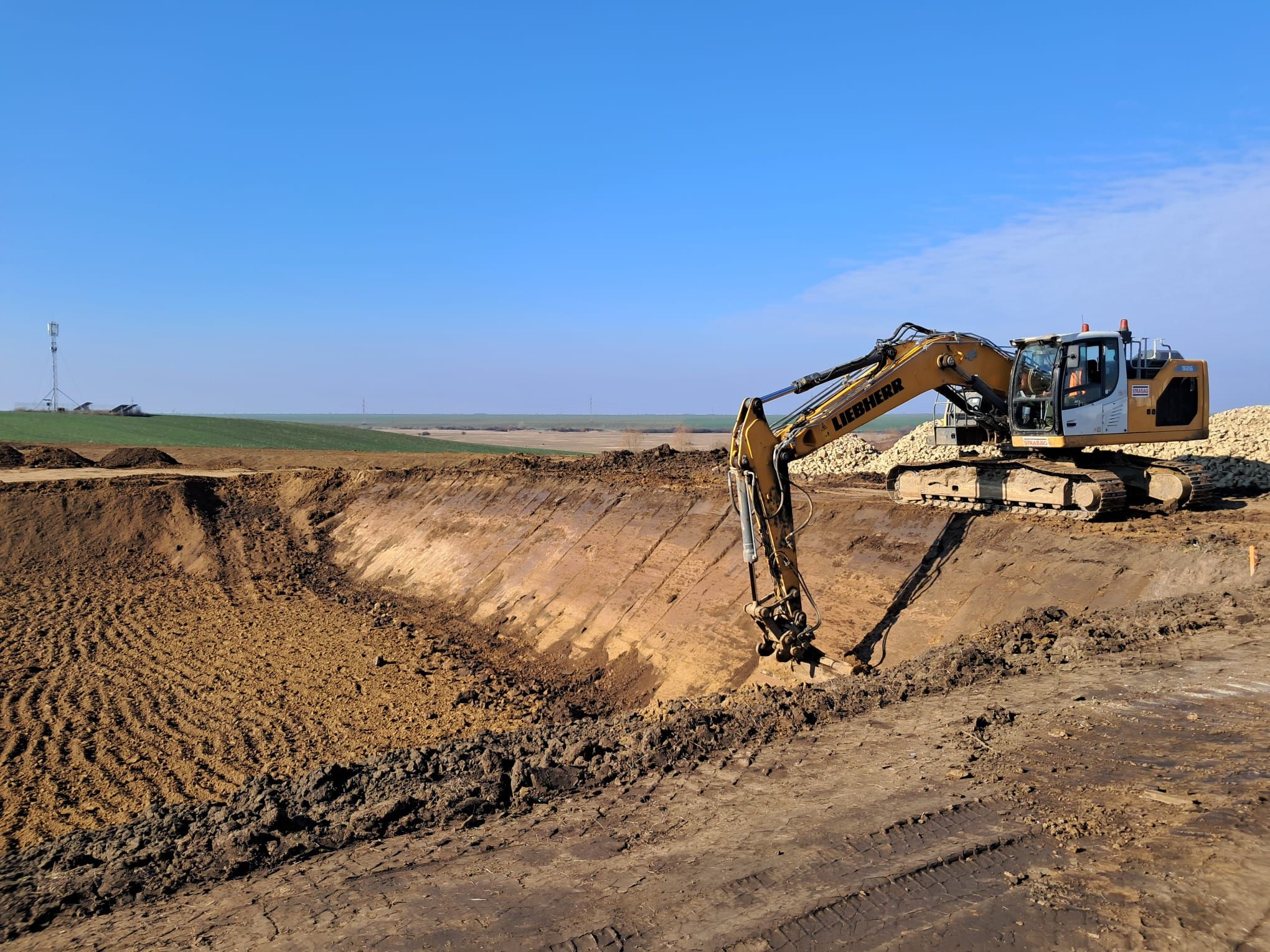 descărcare sânandrei februarie 2025 12