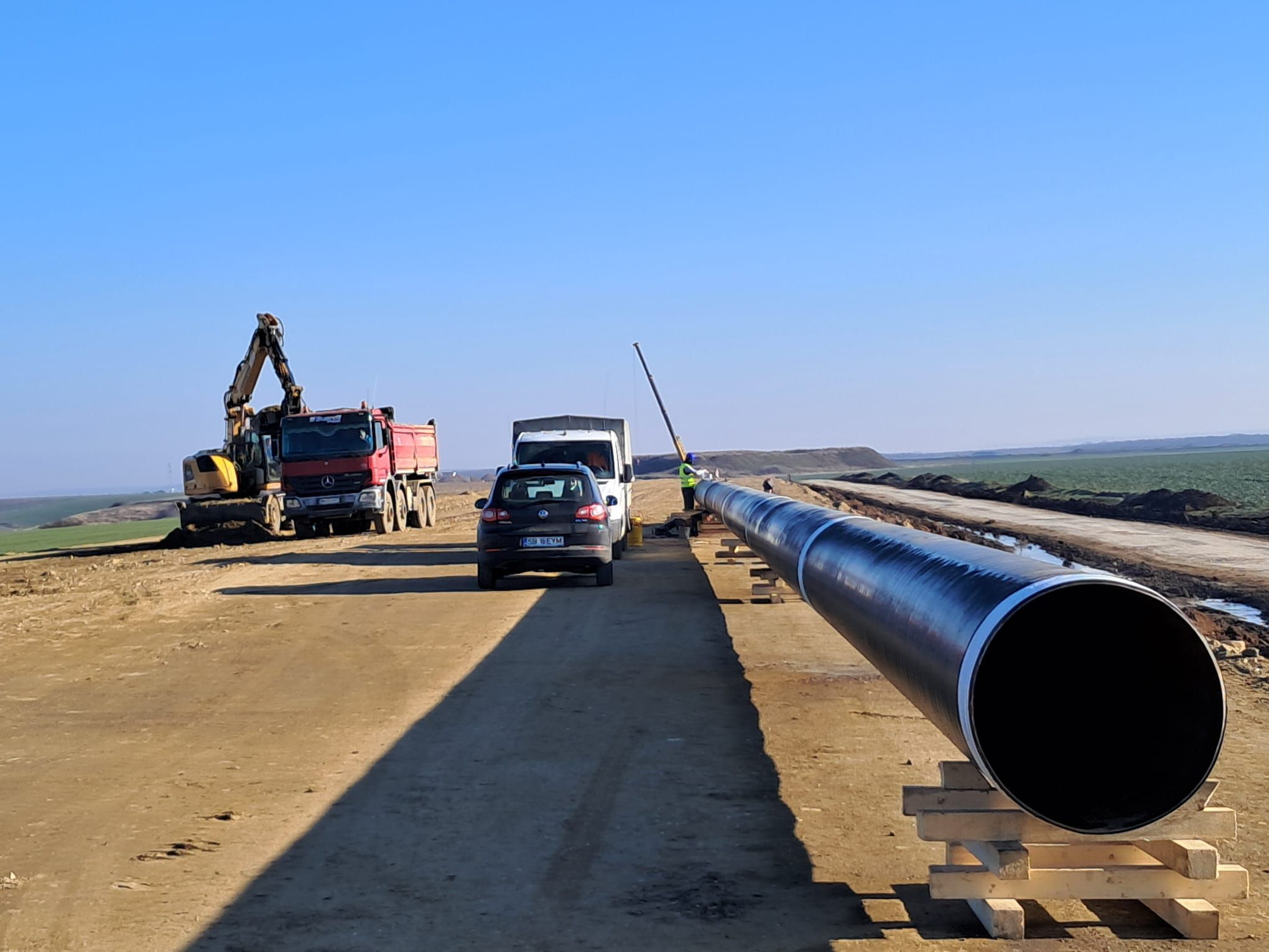 descărcare sânandrei februarie 2025 10