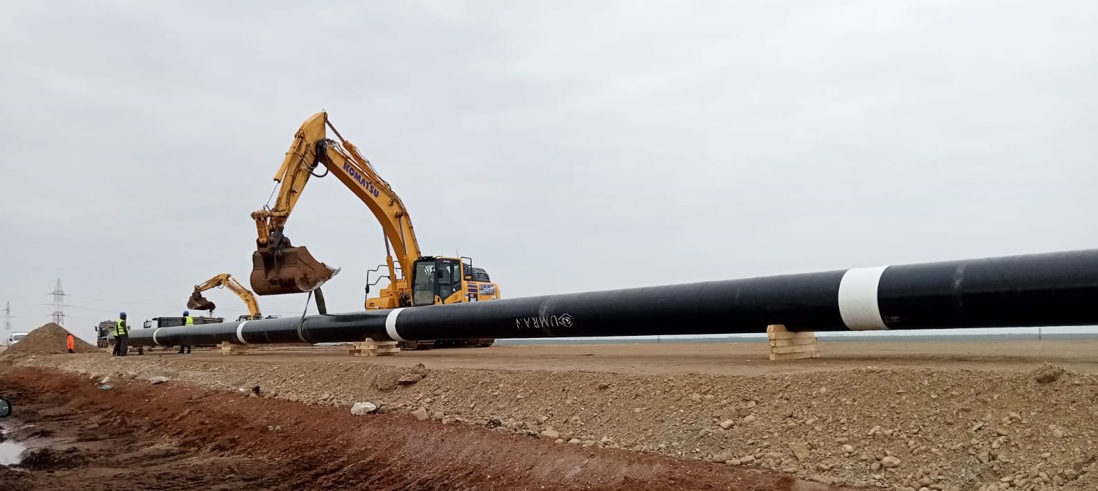 descărcare sânandrei februarie 2025 9