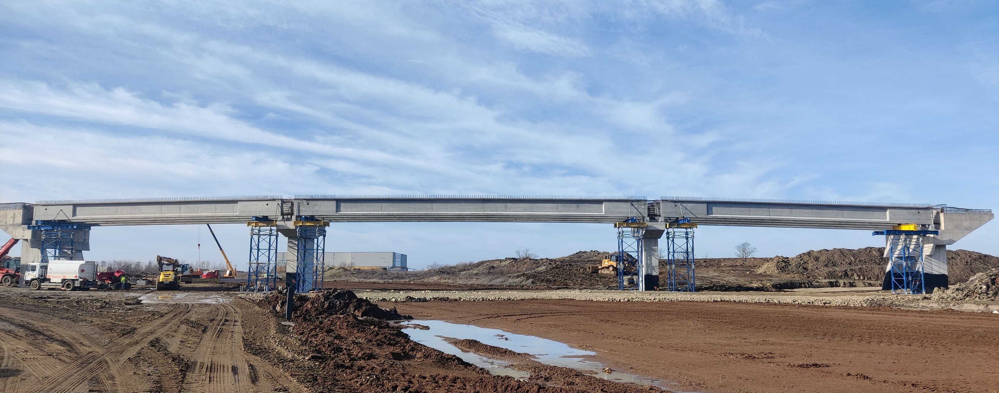 descărcare sânandrei februarie 2025 6