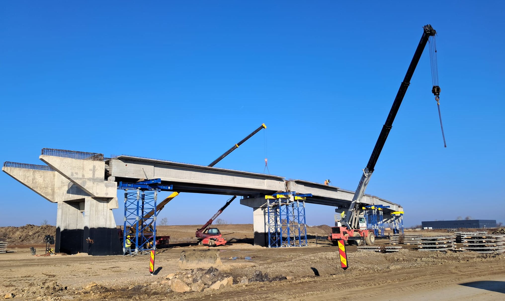 descărcare sânandrei februarie 2025 7