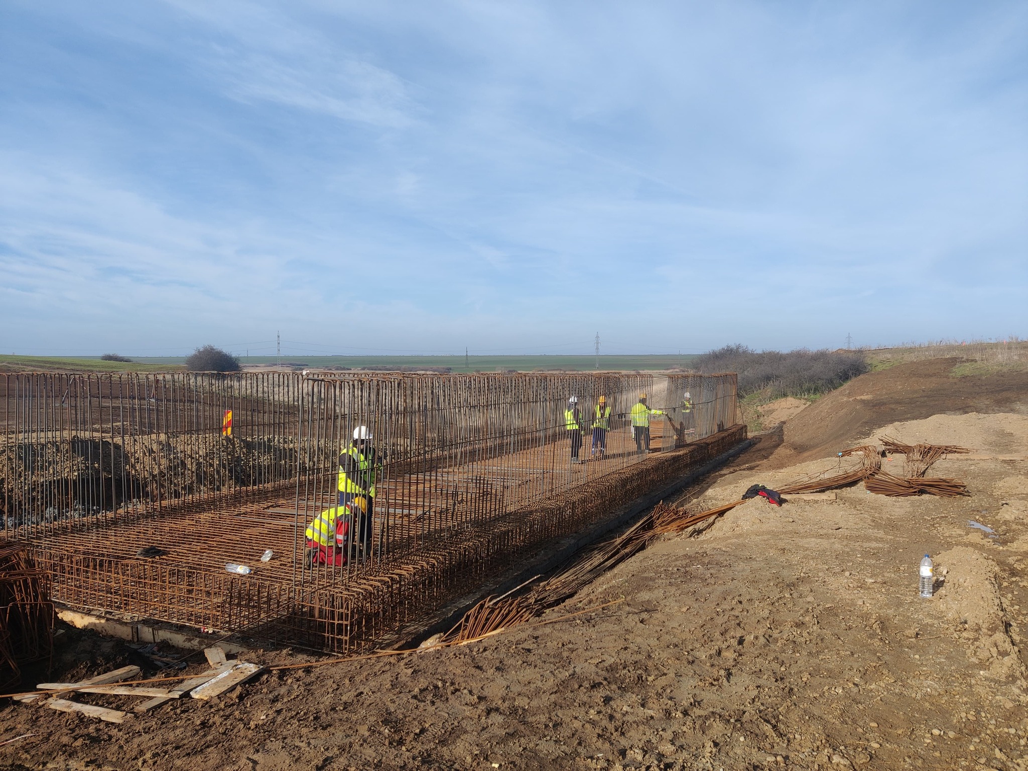 descărcare sânandrei februarie 2025 4