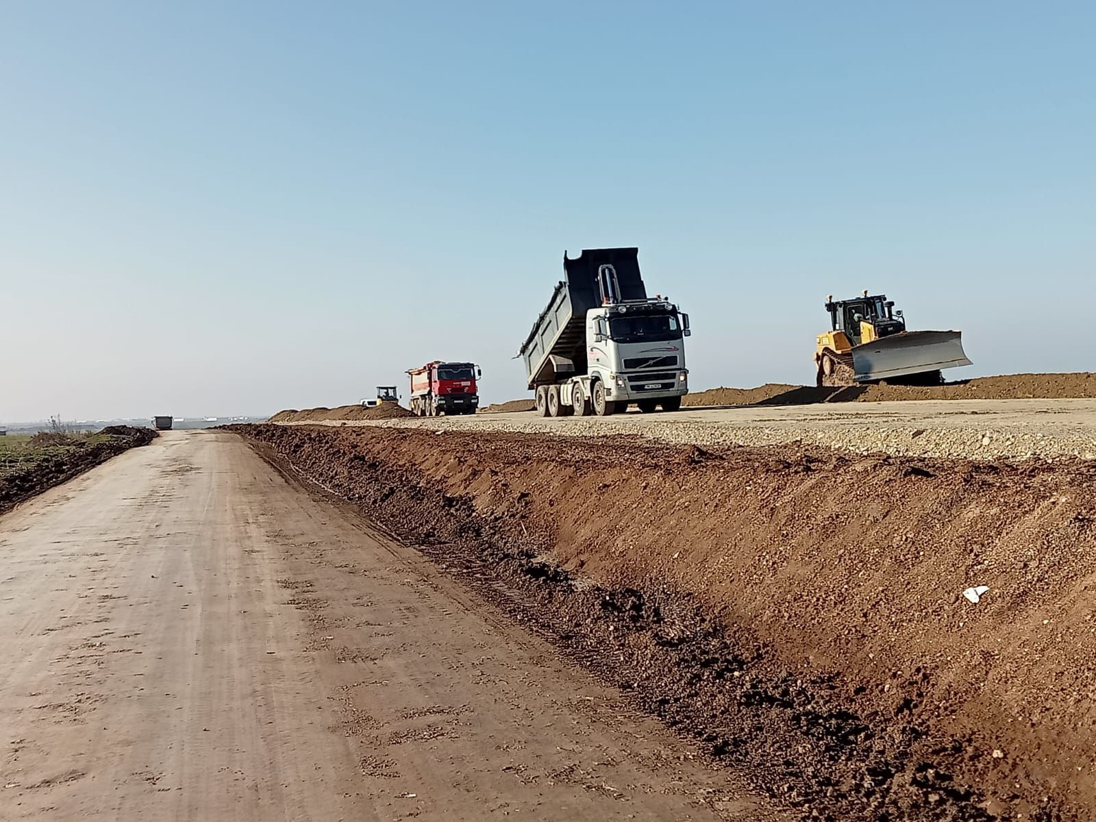 descărcare sânandrei februarie 2025 2