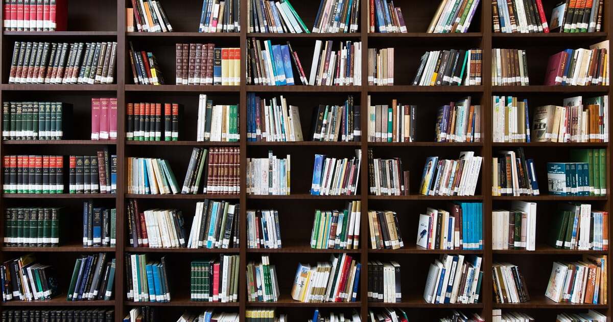Noul rol al Institutului de Științe ale Educației în învățământul românesc Noul rol al Institutului de Științe ale Educației în învățământul românesc