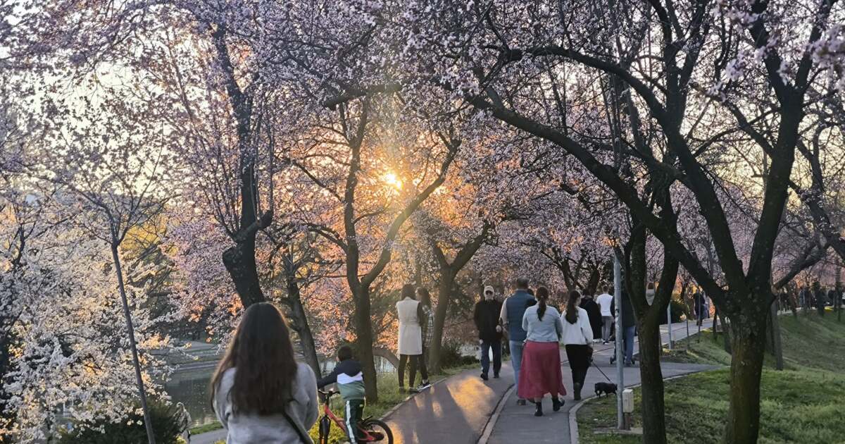 Evenimente de neratat în Timișoara pe 21 martie 2025 Evenimente de neratat în Timișoara pe 21 martie 2025