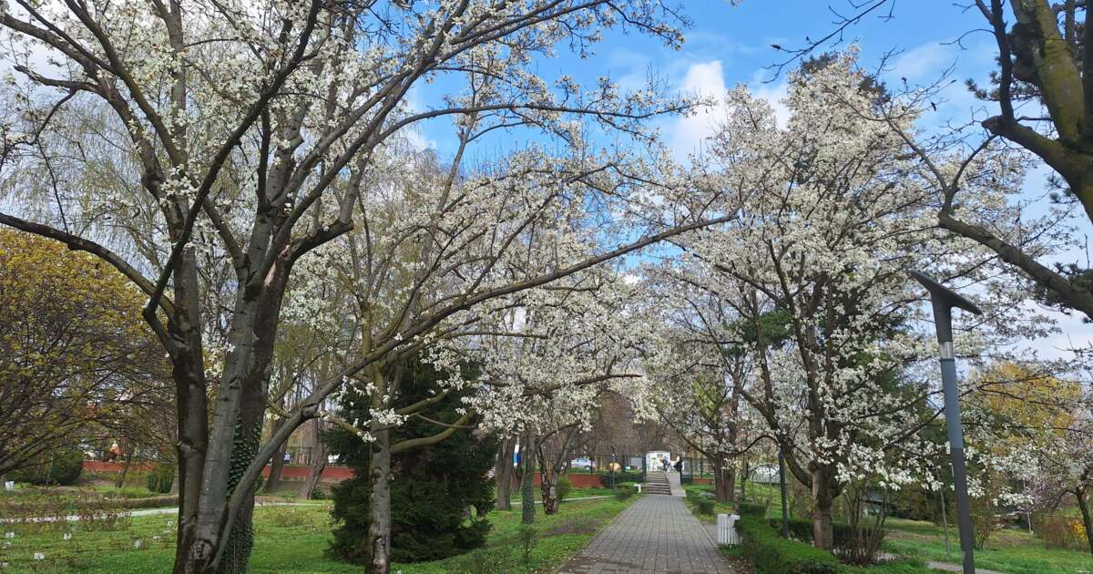Evenimentele zilei de 1 aprilie 2025 din Timișoara: ce surprize ne așteaptă? Evenimentele zilei de 1 aprilie 2025 din Timișoara: ce surprize ne așteaptă?