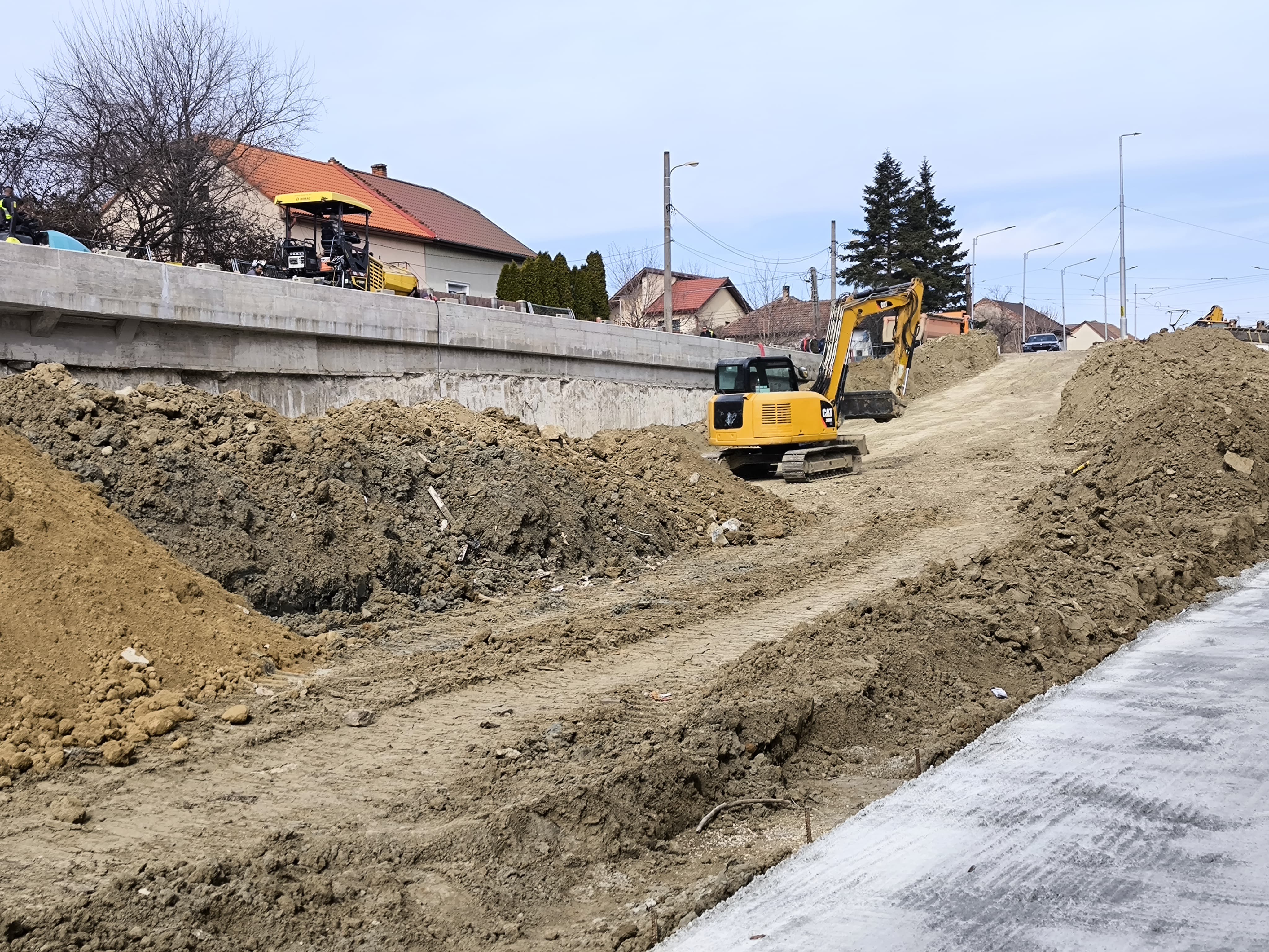 cheson martie solventul (6)