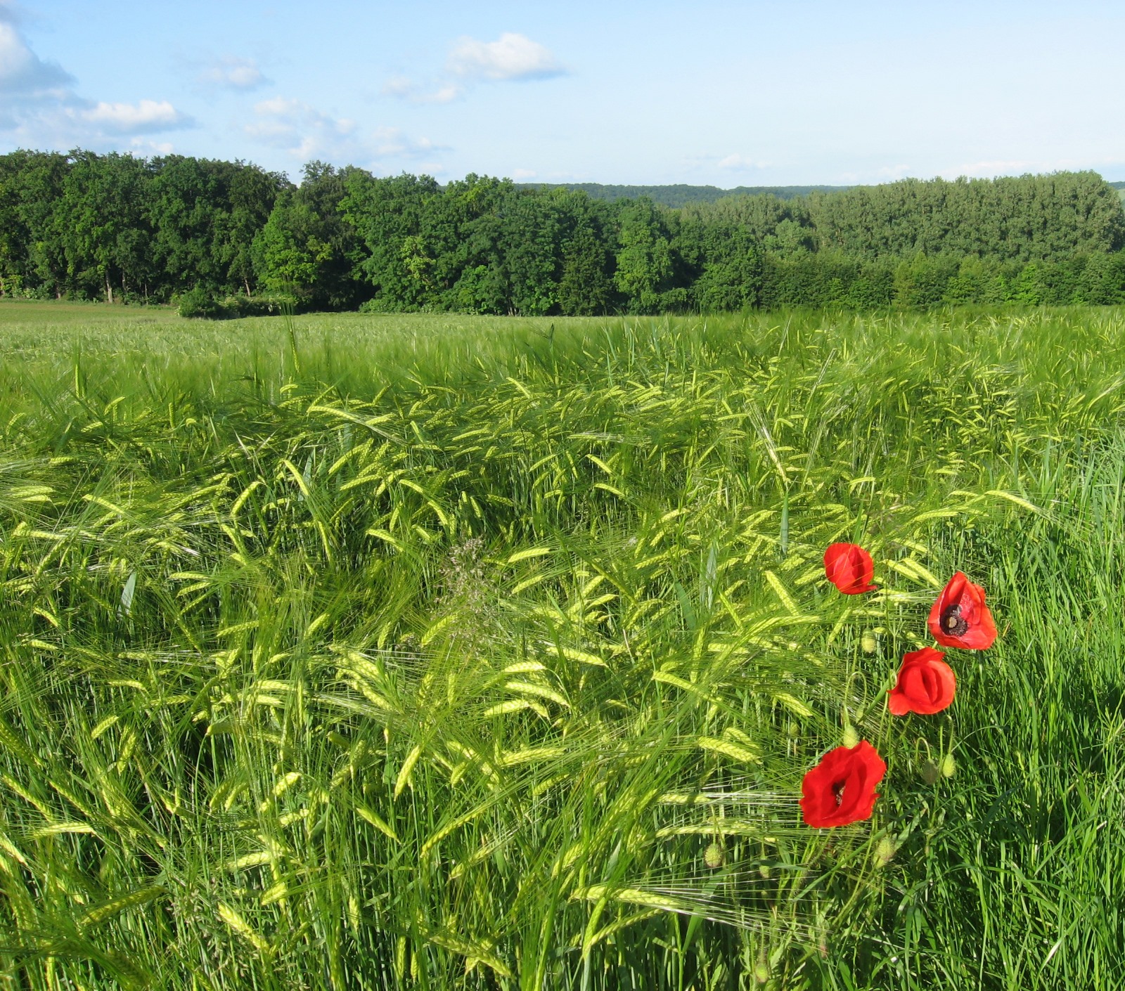 WhatsApp Image 2025-03-18 at 11.25.38 (1)