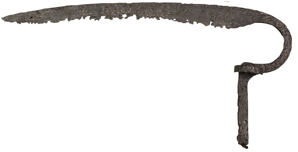 WhatsApp Image 2025-03-18 at 11.25.38 (3)