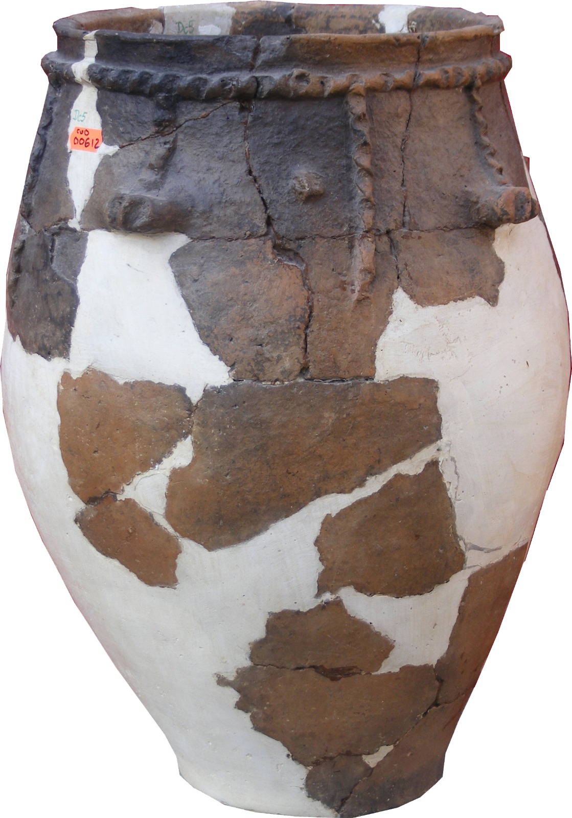 WhatsApp Image 2025-03-18 at 11.25.39 (3)