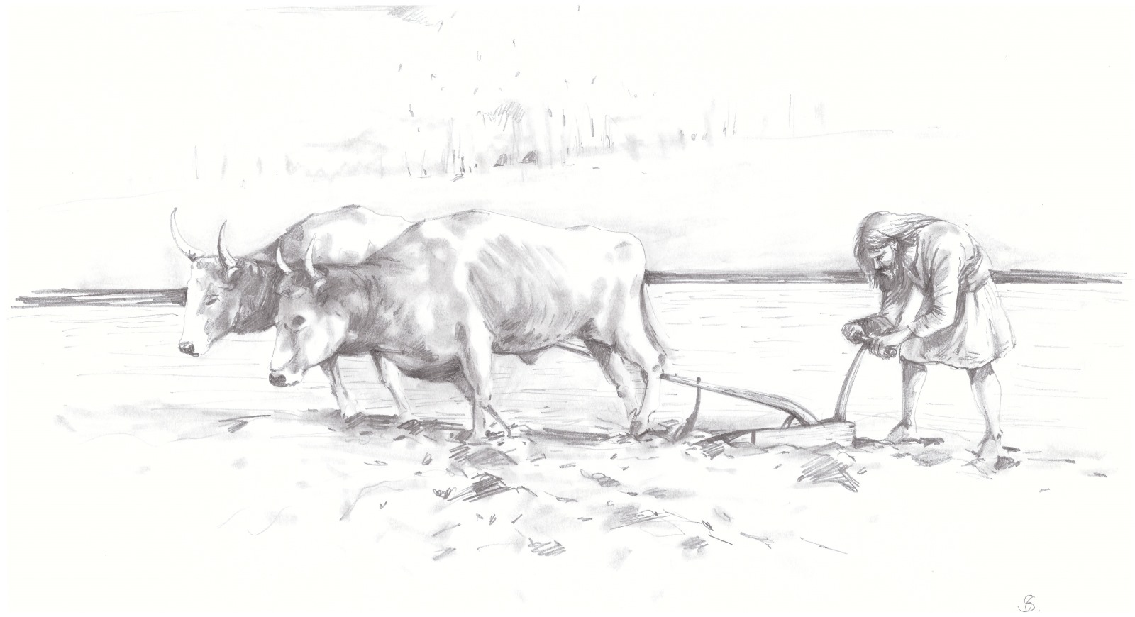 WhatsApp Image 2025-03-18 at 11.25.39 (4)