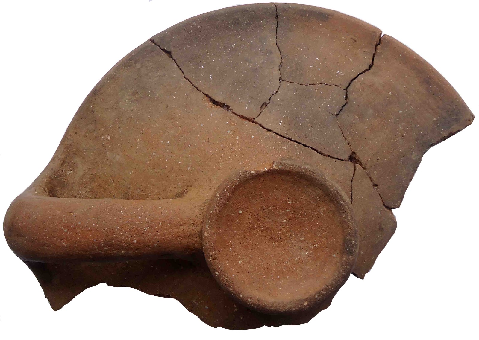 WhatsApp Image 2025-03-18 at 11.25.39 (6)