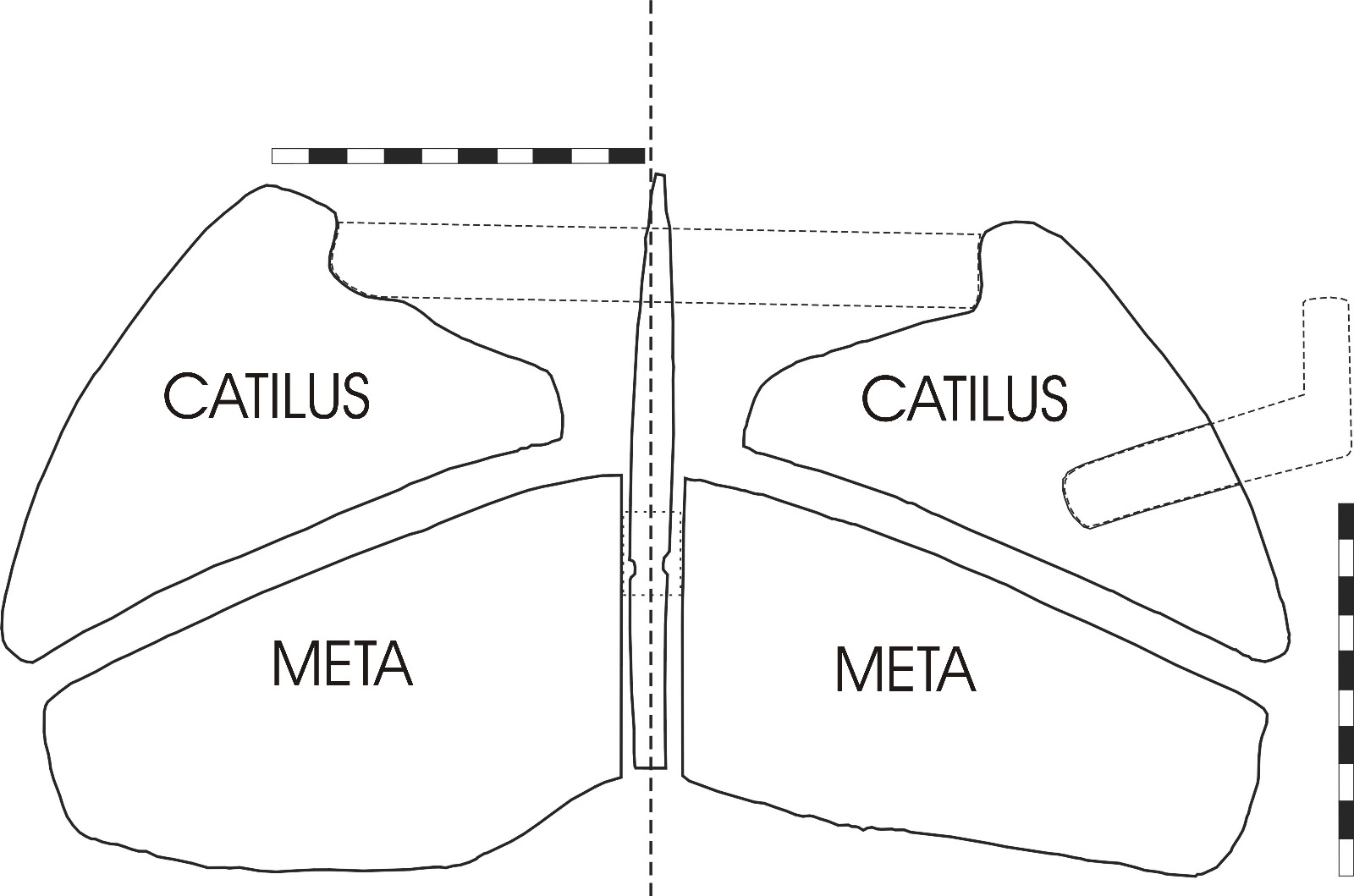 WhatsApp Image 2025-03-18 at 11.25.39