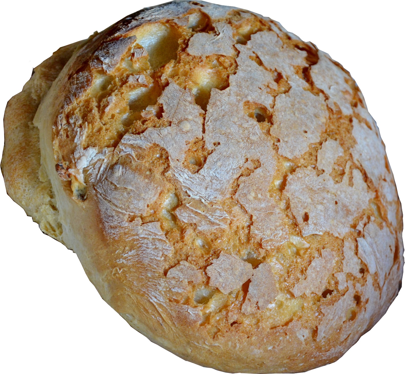 WhatsApp Image 2025-03-18 at 11.25.40 (2)