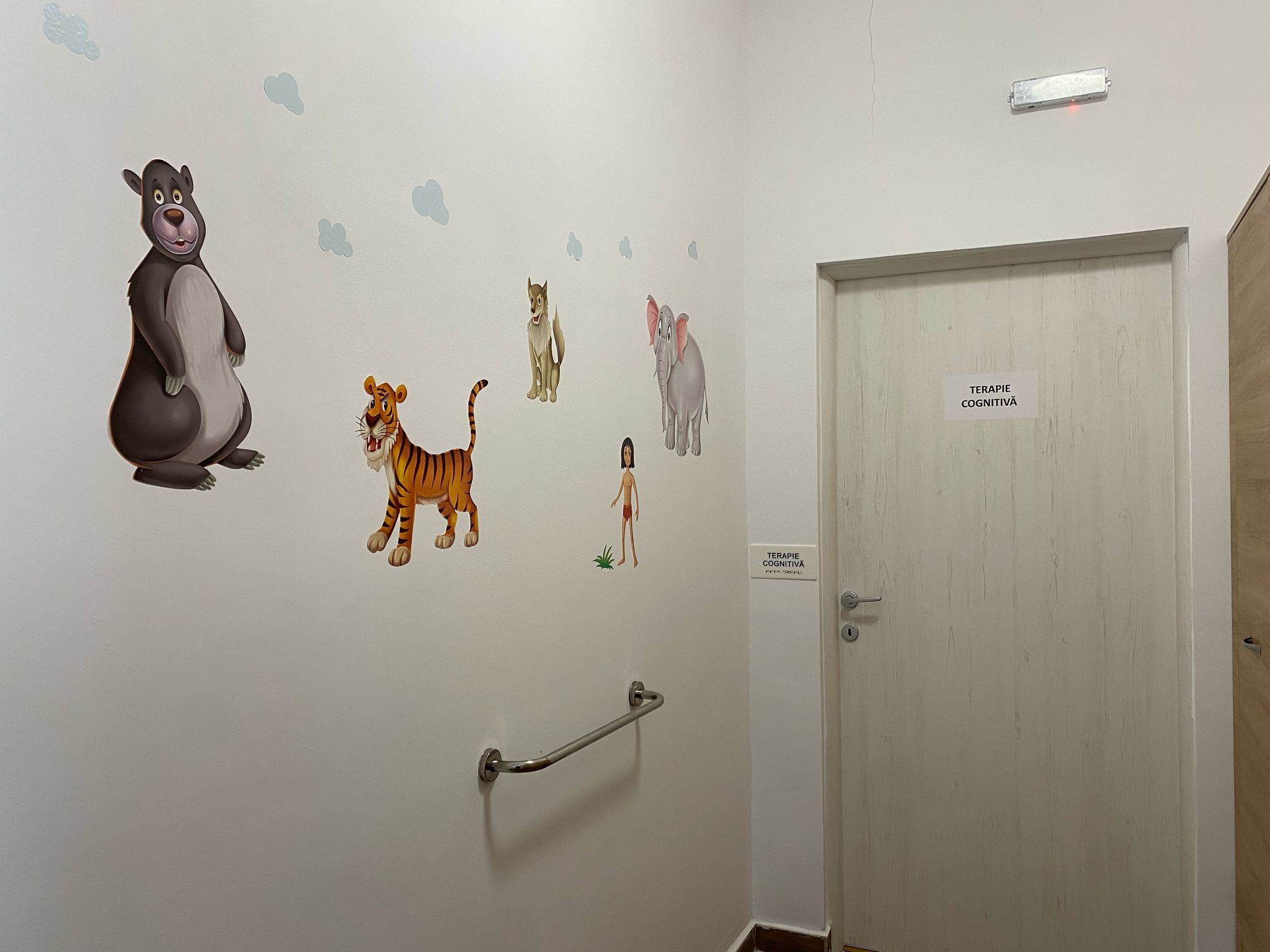 centru de zi pentru recuperarea copiilor cu dizabilități lugoj (10)