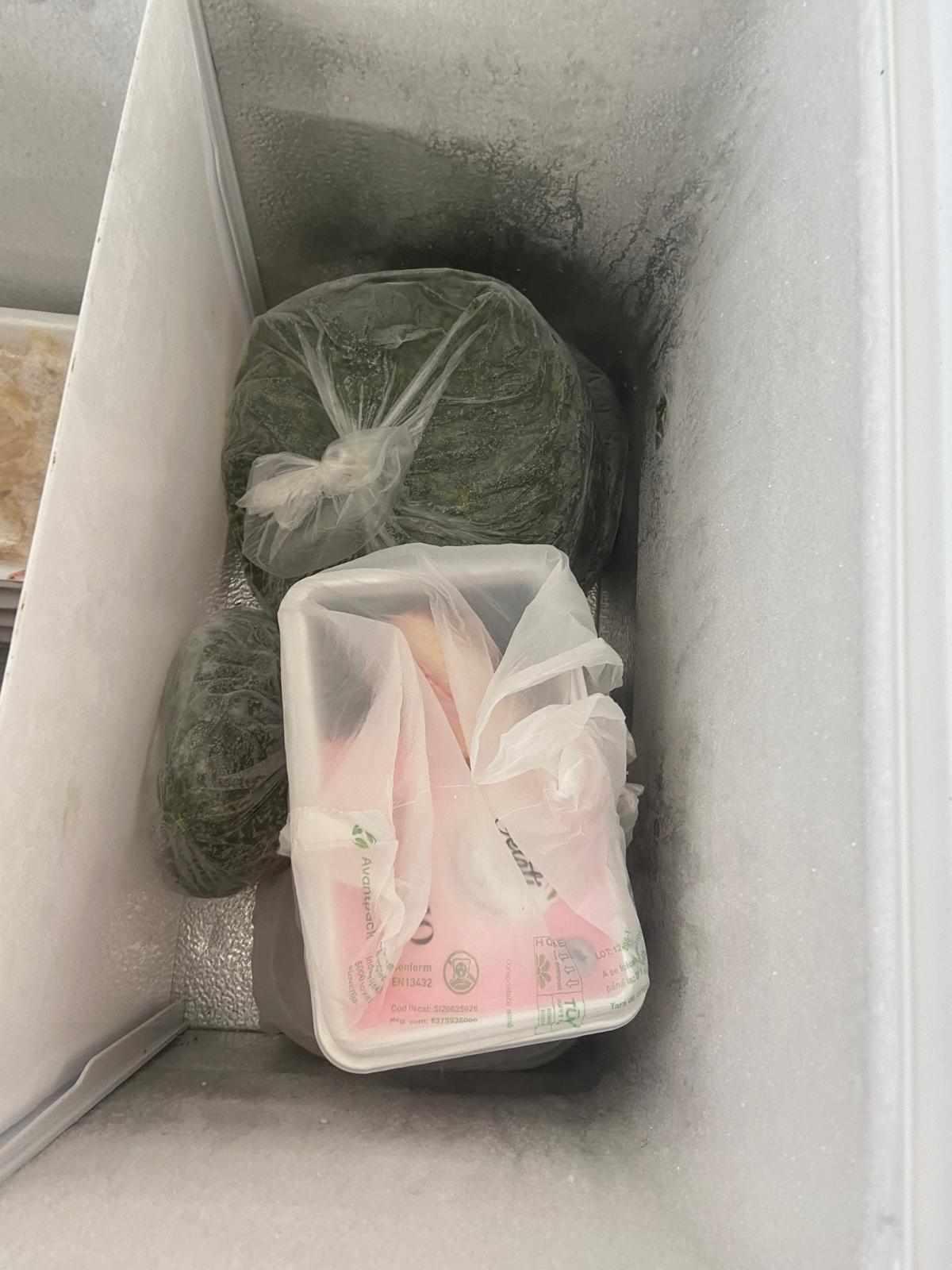 controale anpc piedone timisoara (8)