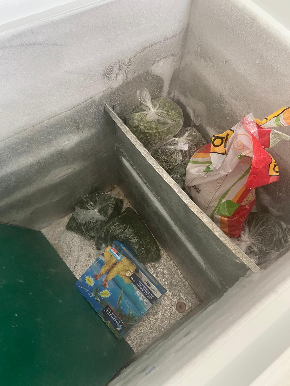 controale anpc piedone timisoara (9)