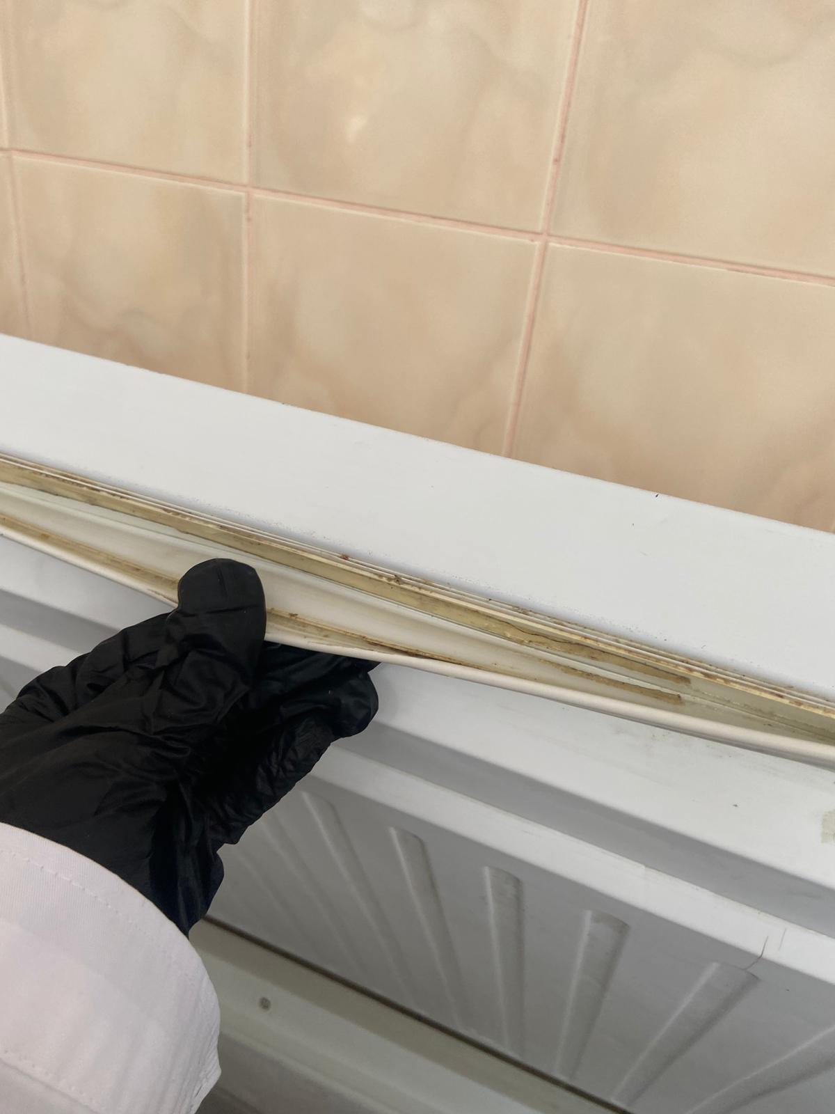 controale anpc piedone timisoara (13)