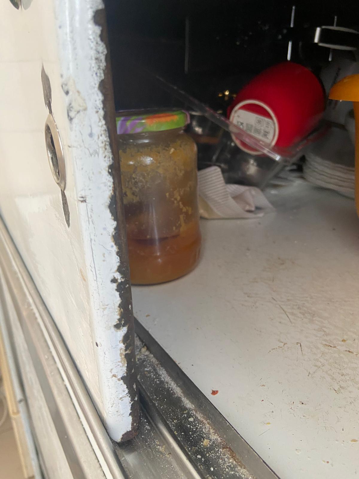 controale anpc piedone timisoara (15)