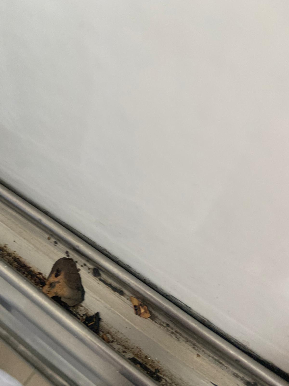 controale anpc piedone timisoara (19)