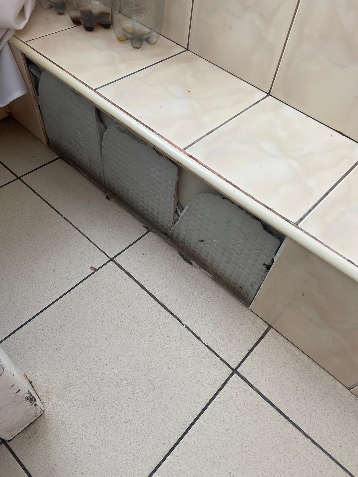 controale anpc piedone timisoara (21)