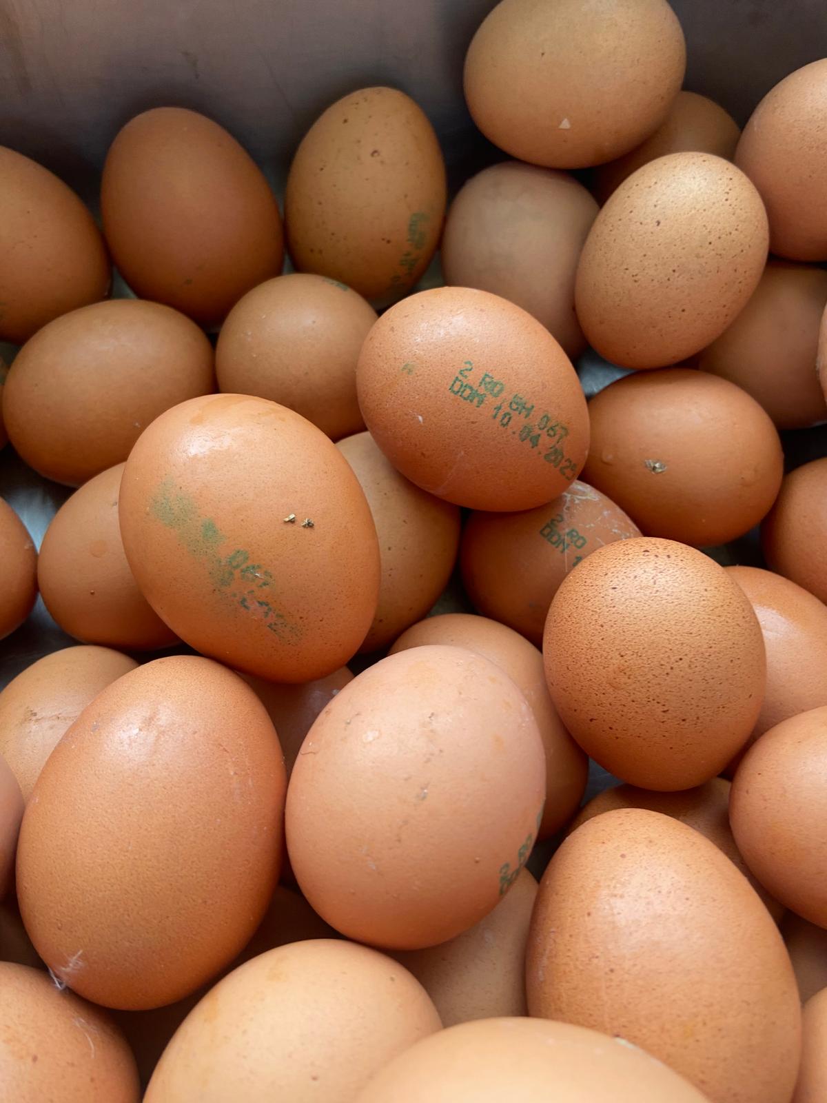 controale anpc piedone timisoara (28)