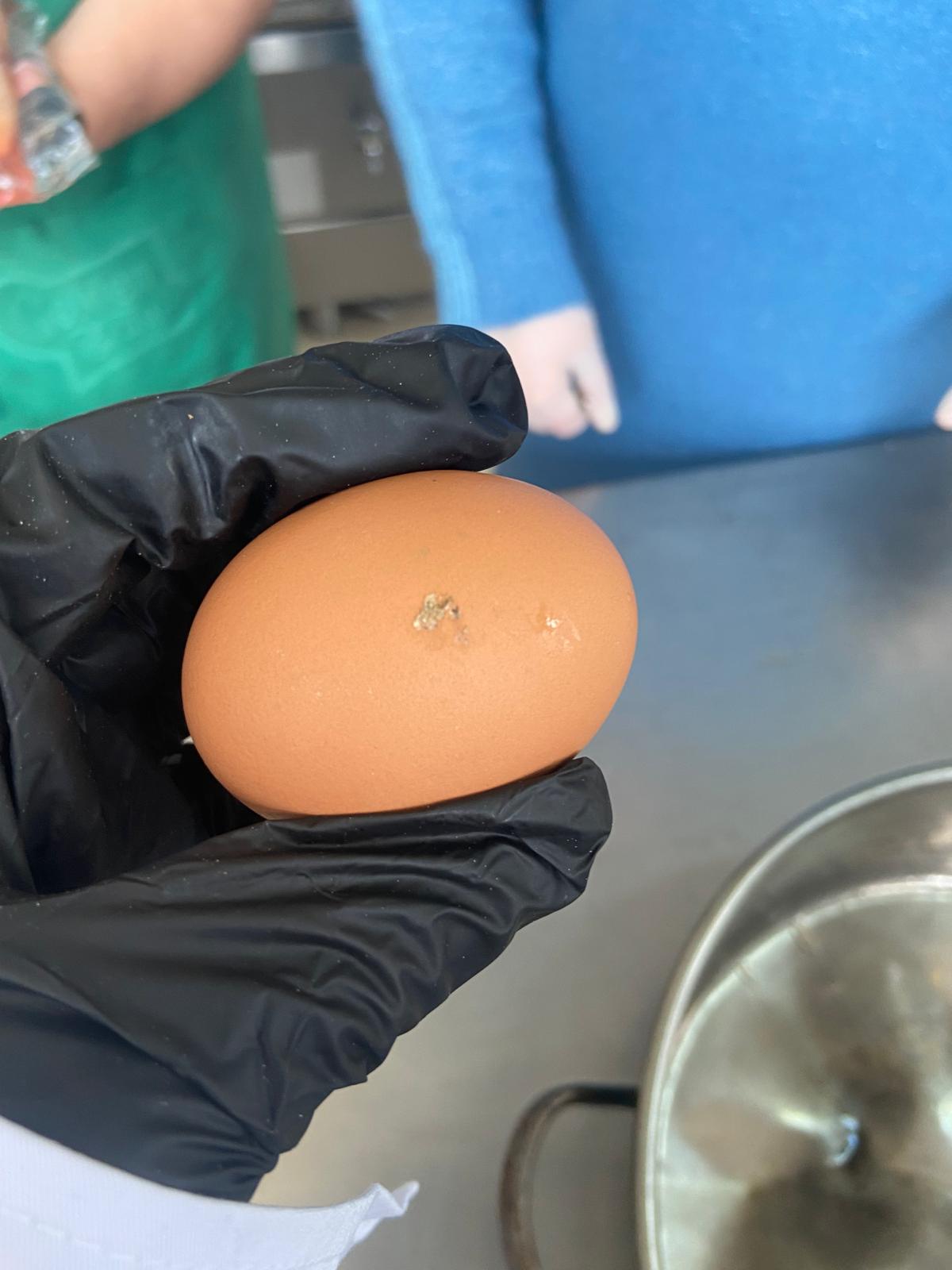 controale anpc piedone timisoara (29)