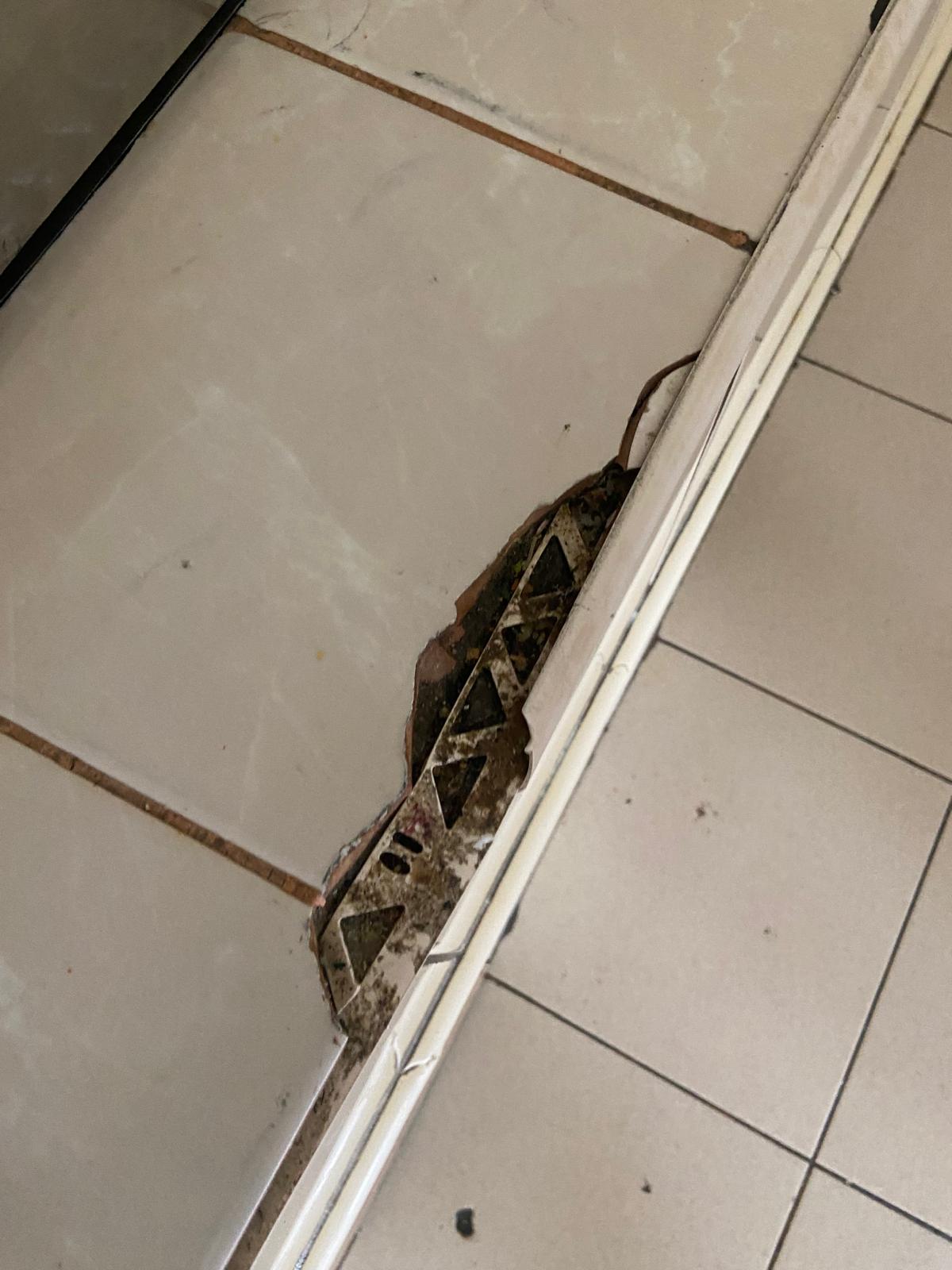 controale anpc piedone timisoara (34)