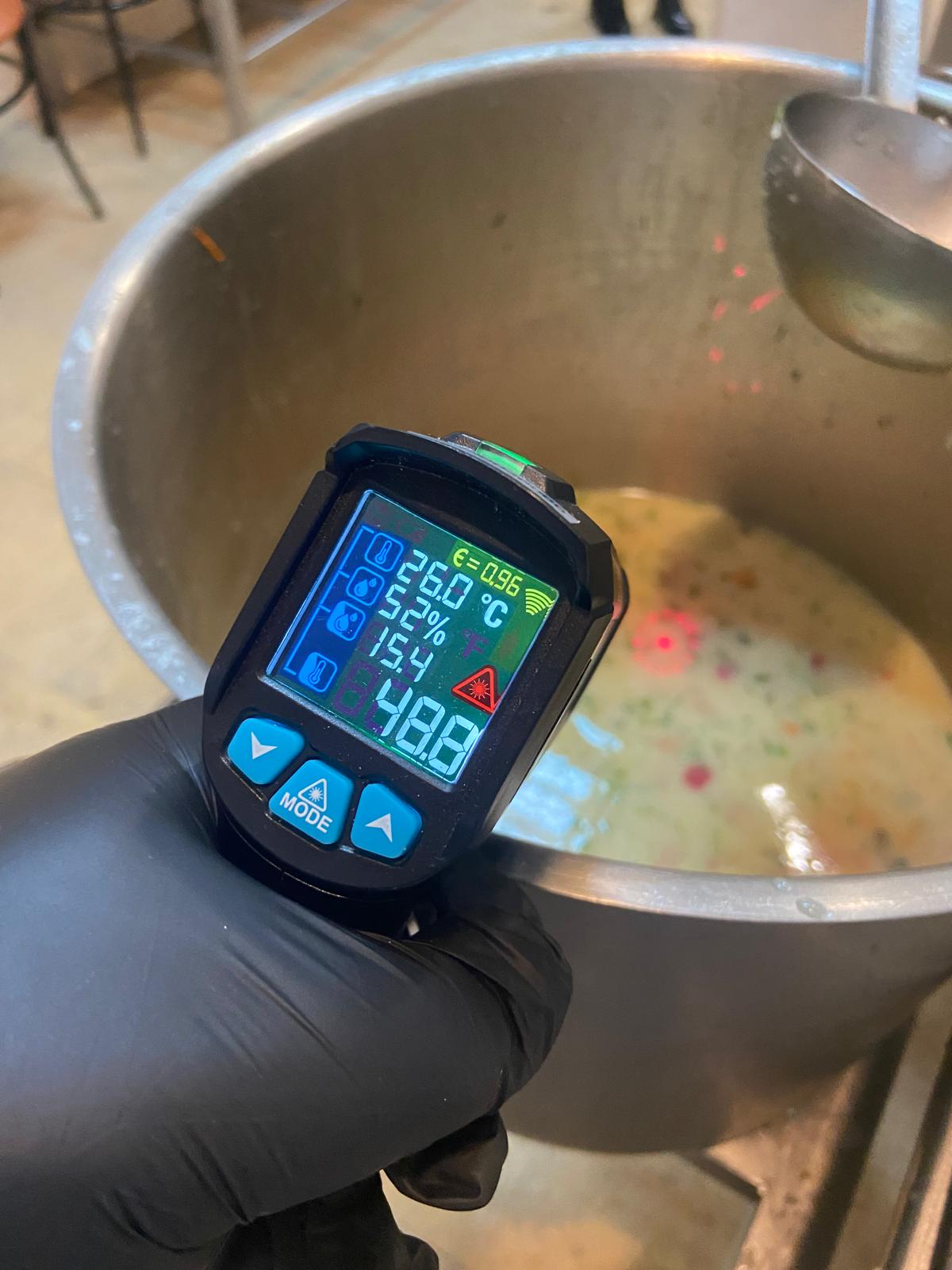 controale anpc piedone timisoara (44)