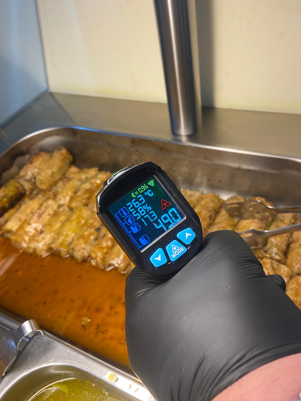 controale anpc piedone timisoara (46)