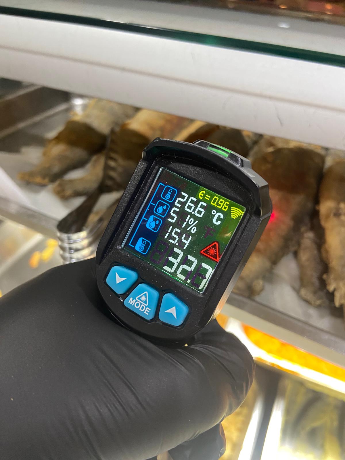 controale anpc piedone timisoara (54)